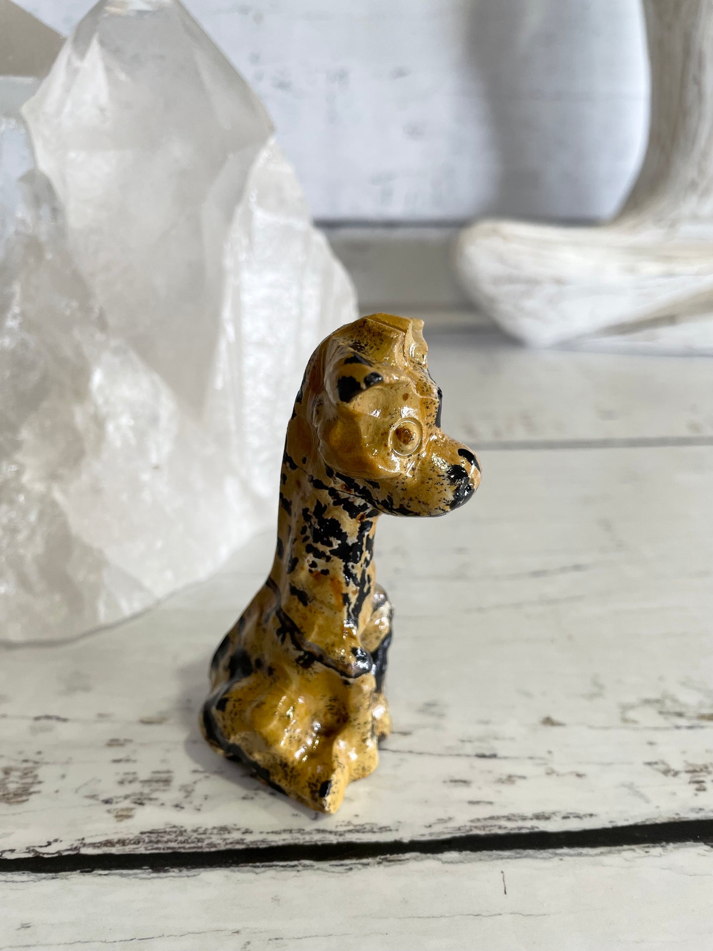 Picture Jasper Giraffe ~ 19