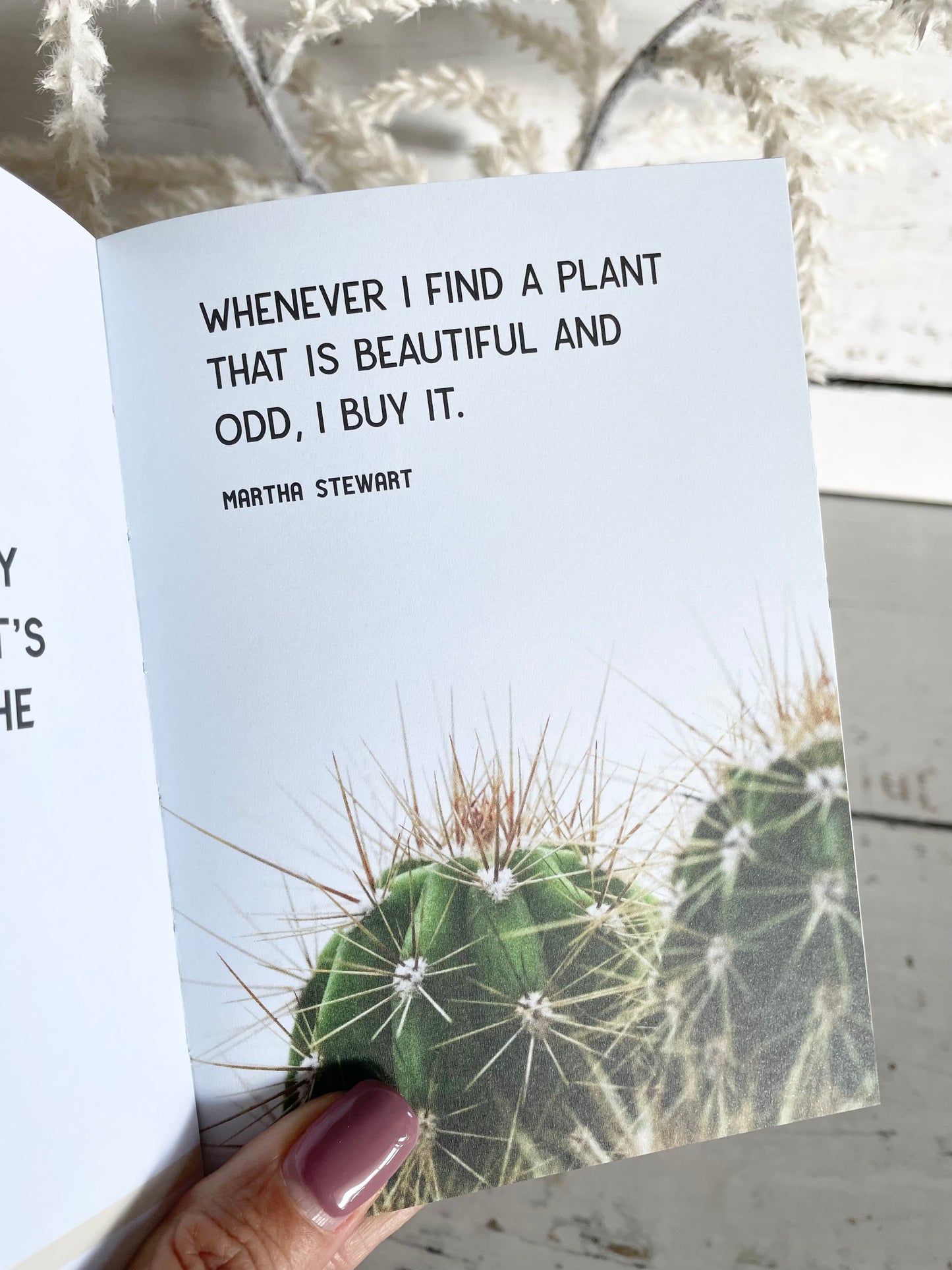 The Little Book for Plant Parents