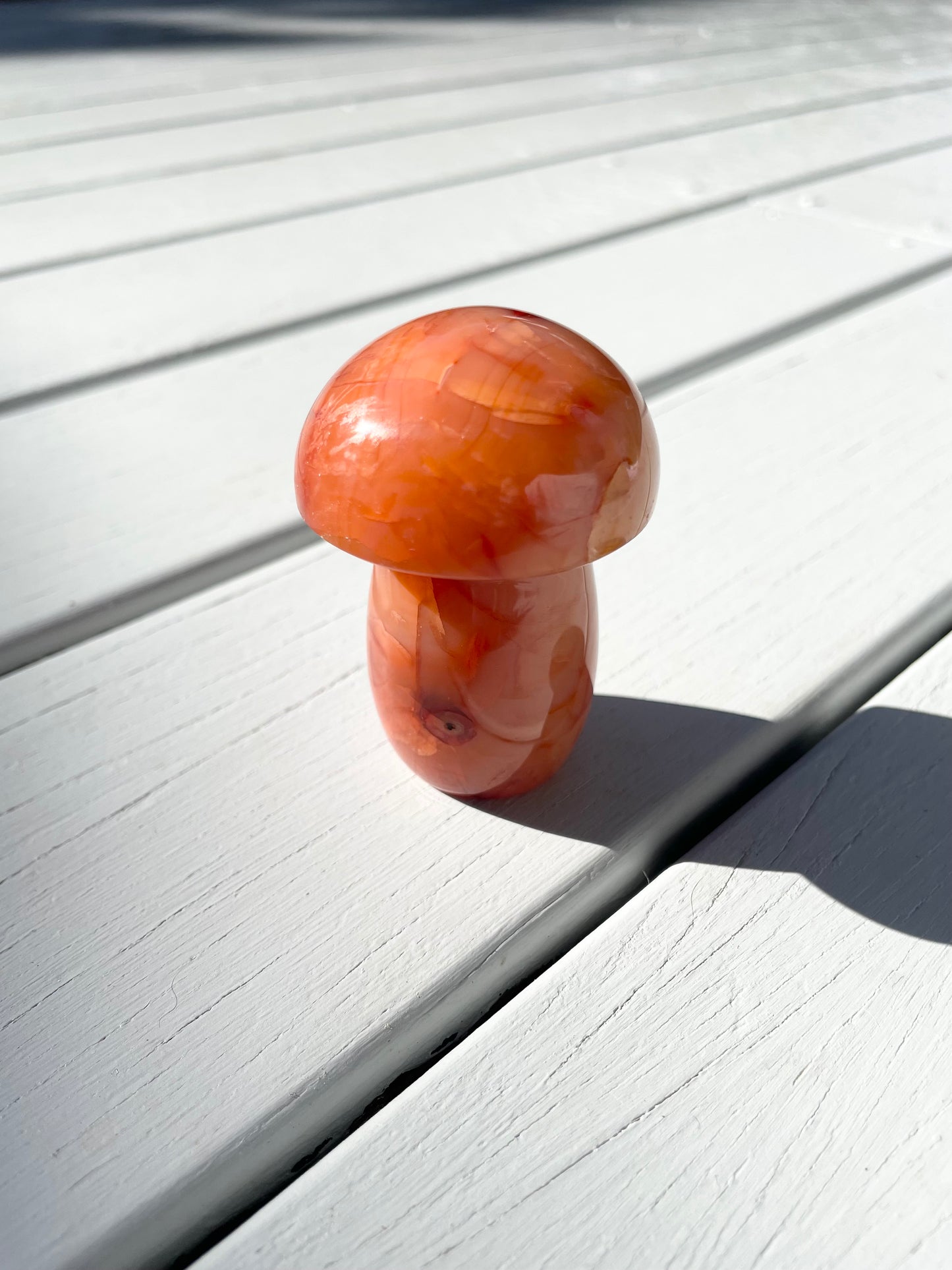 Carnelian Mushroom