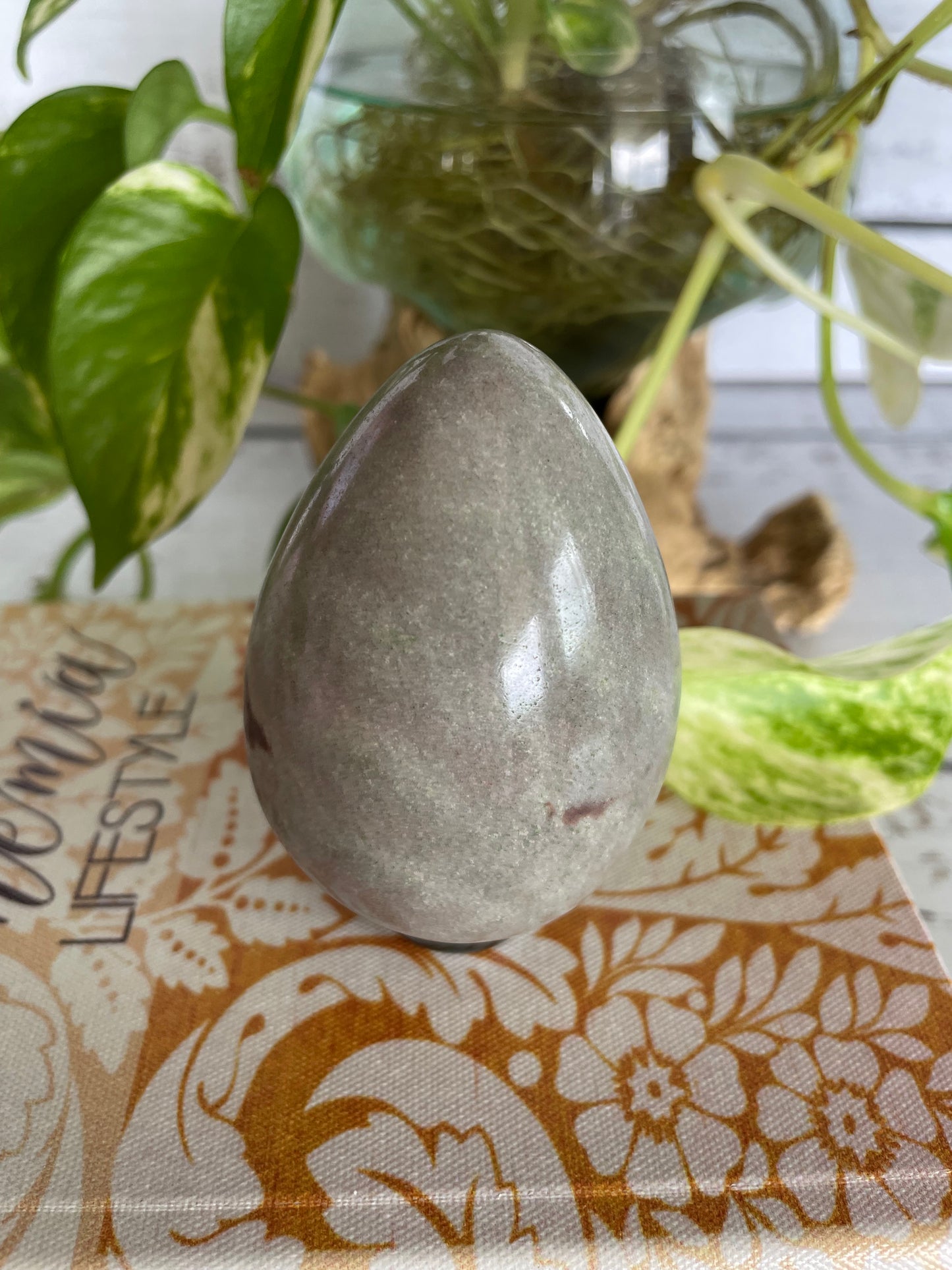 Shiva Narmada Egg with holder