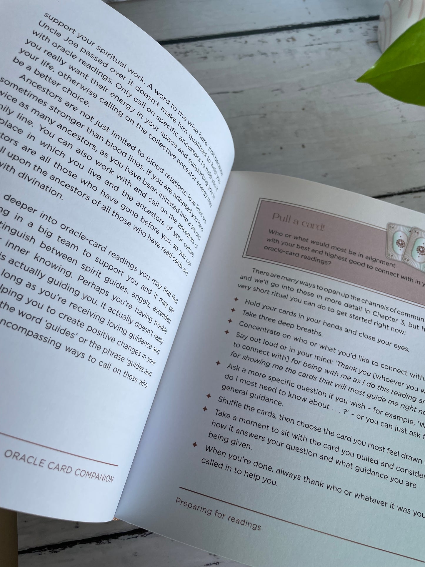 Oracle Card Companion
