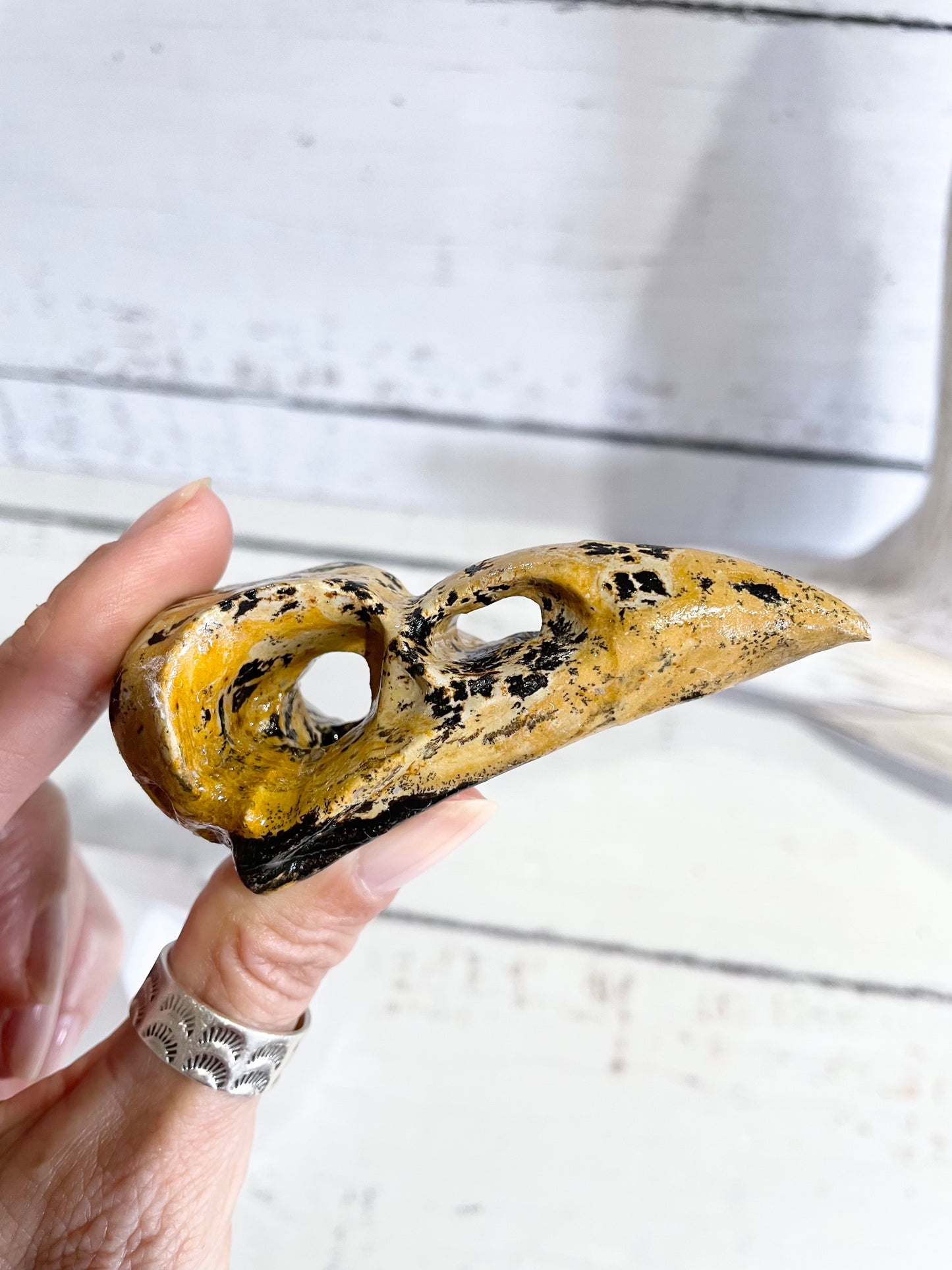Picture Jasper Raven Skull ~ 6