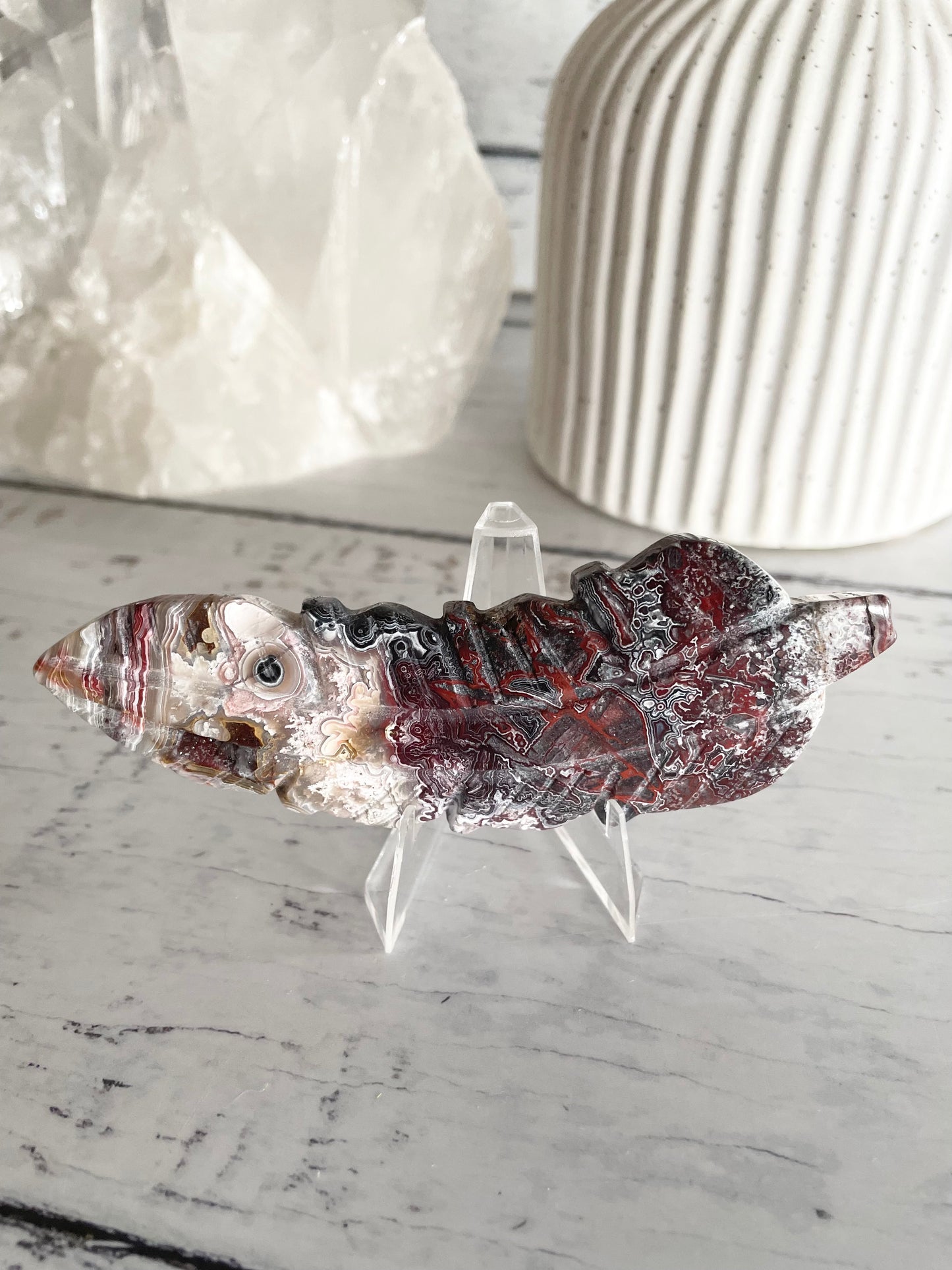 Mexican Crazy Lace Agate feather