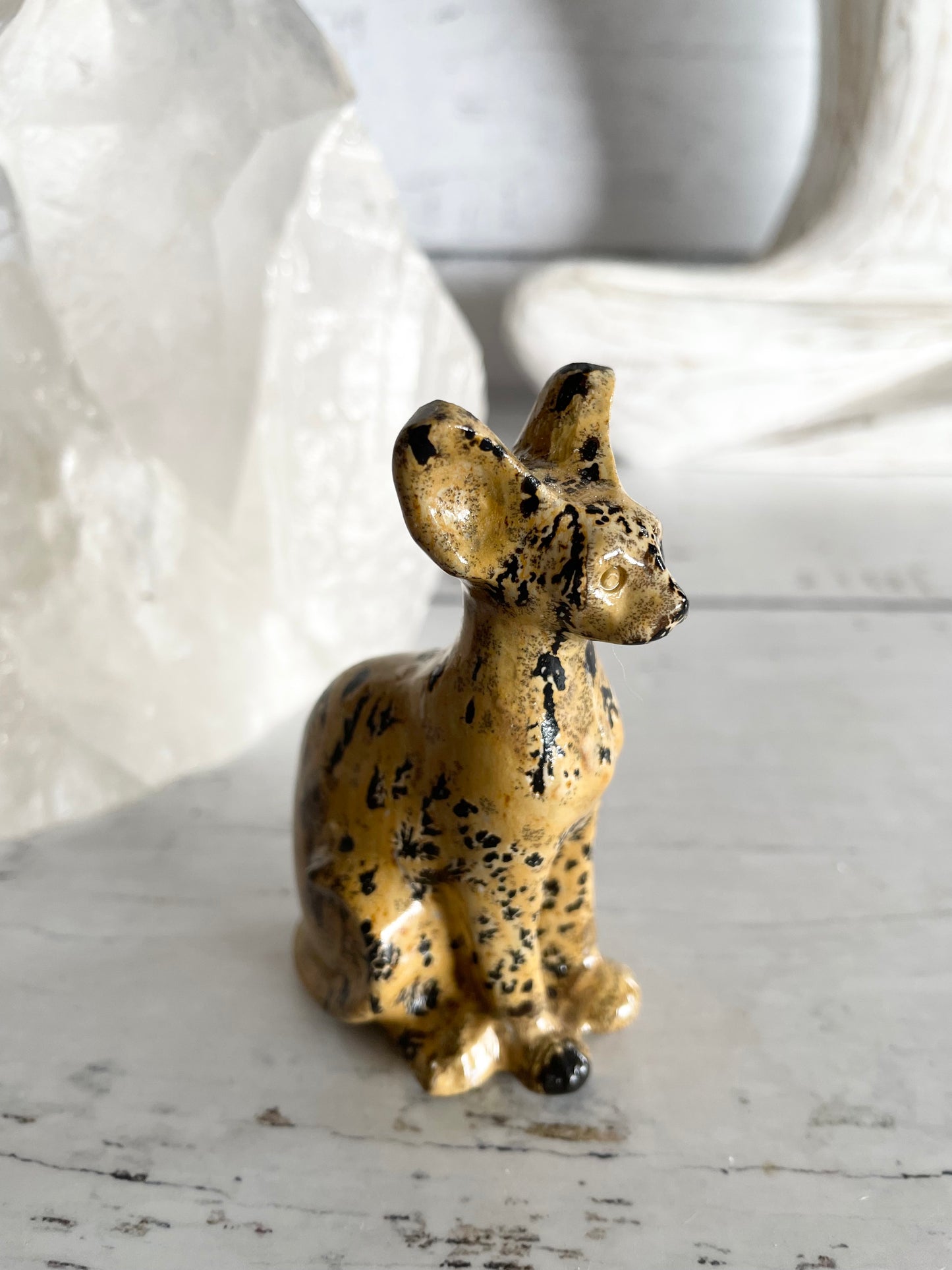 Picture Jasper Spinx Cat ~ 2