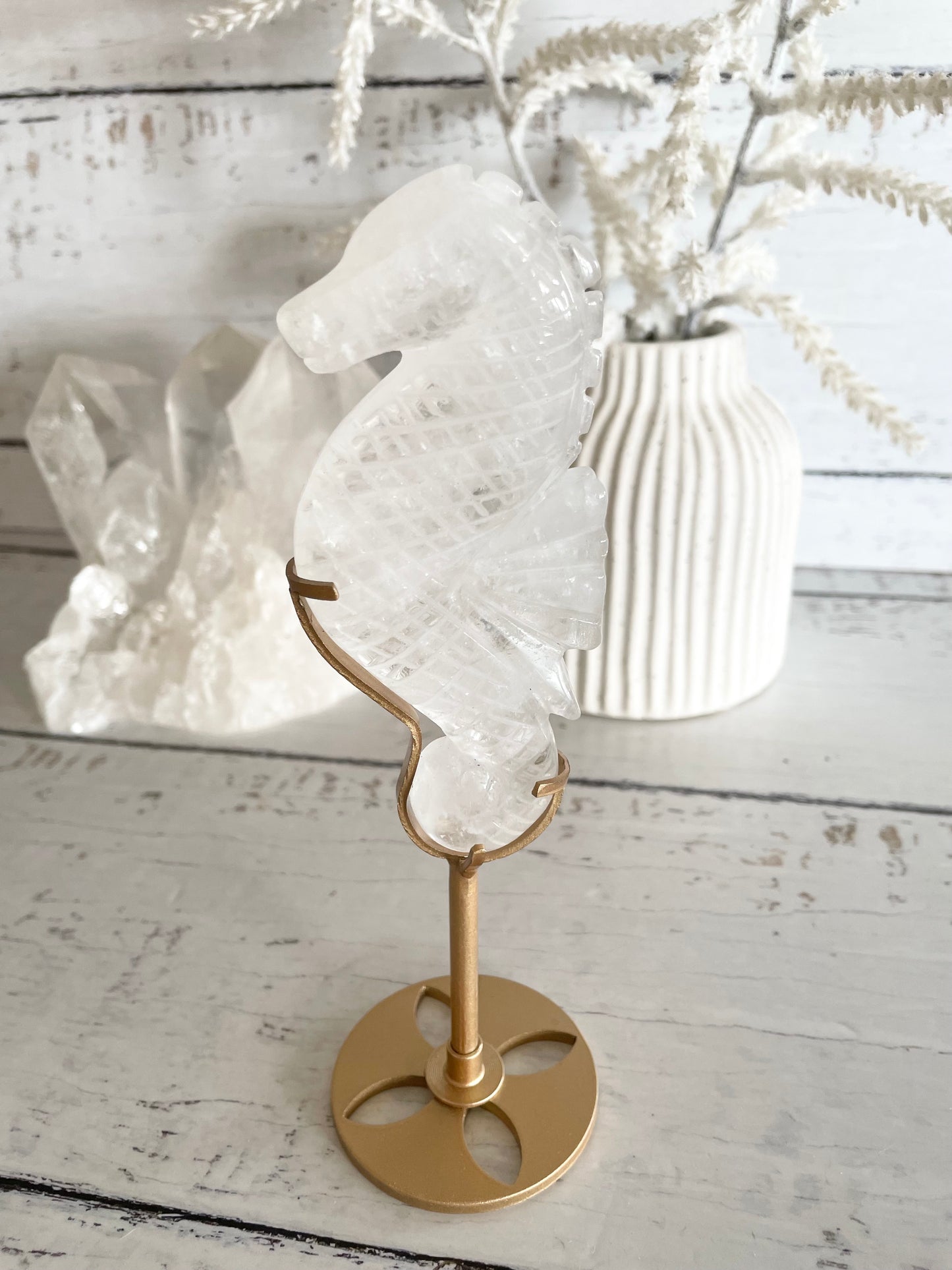 Seahorse ~ Clear Quartz