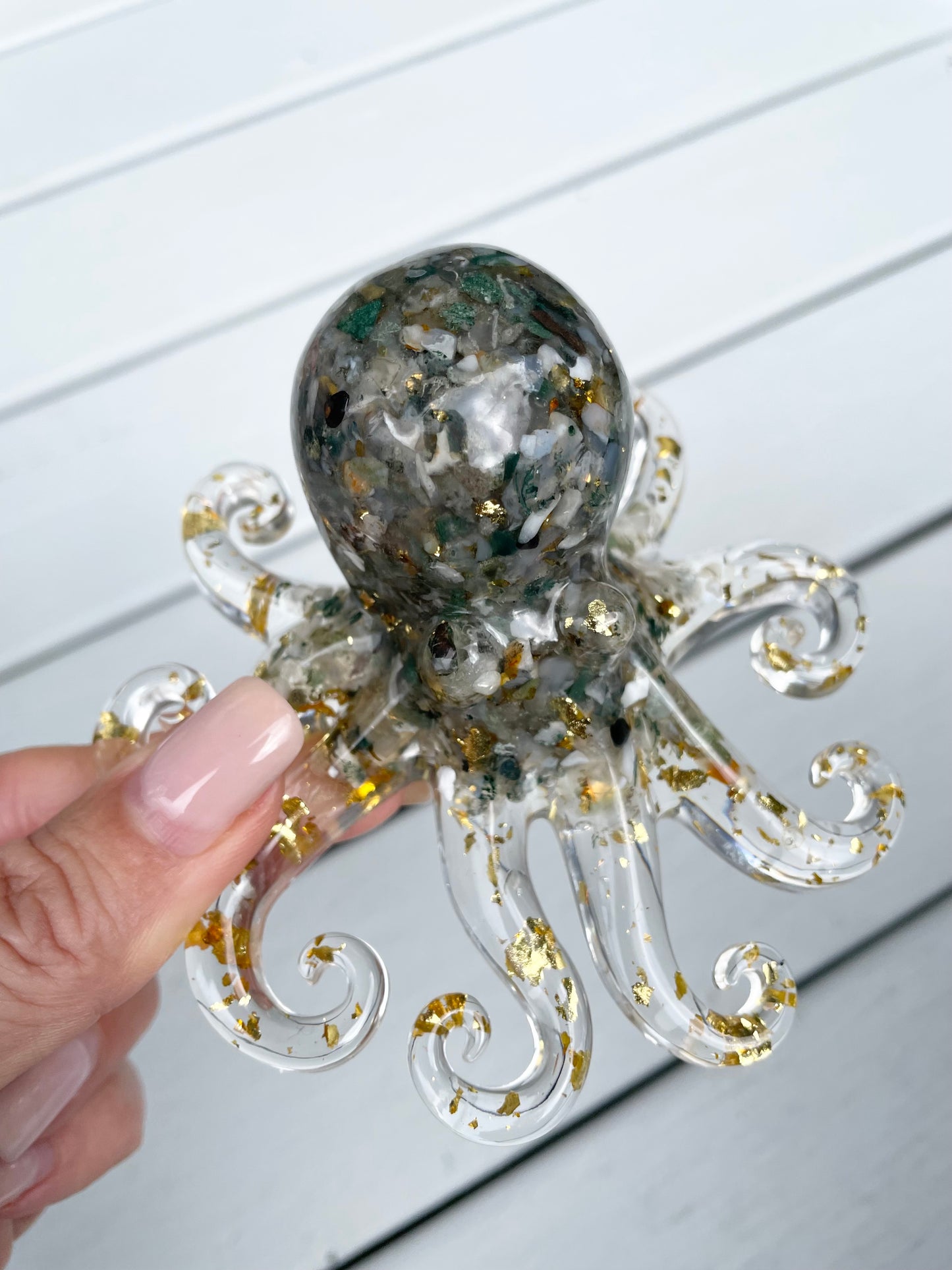 Indian Agate Octopus