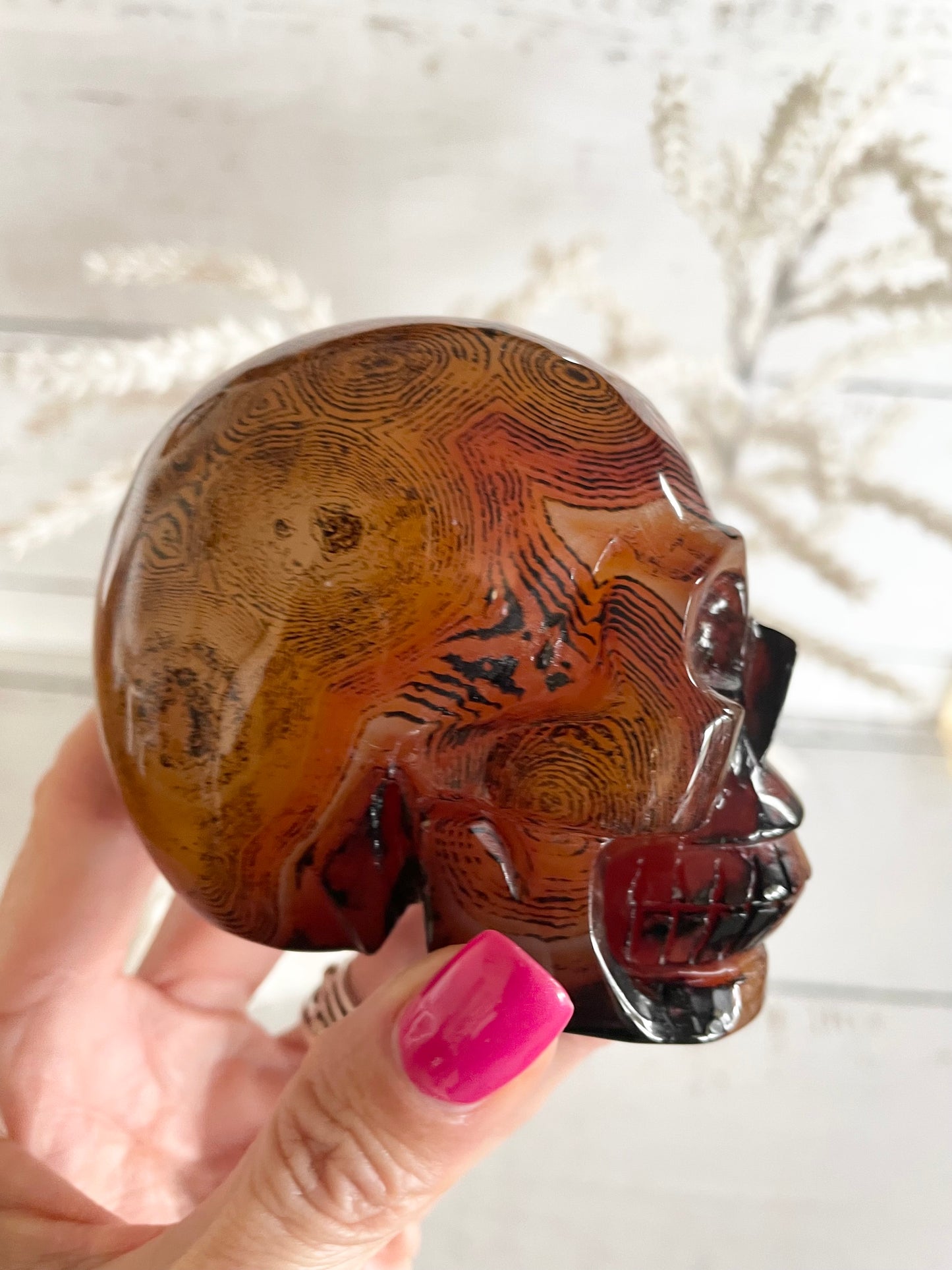 Sardonyx Skull