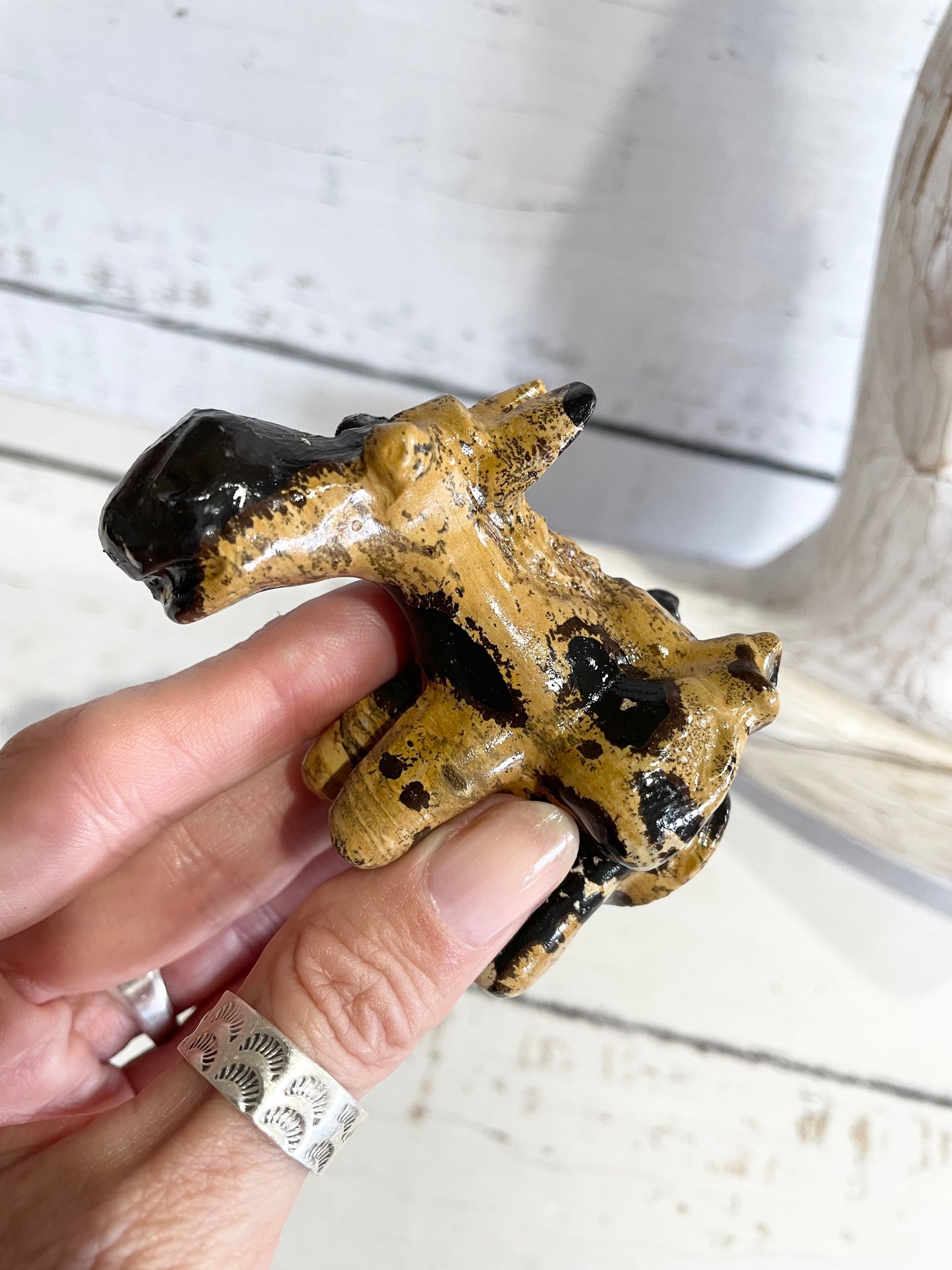 Picture Jasper Donkey ~ 8