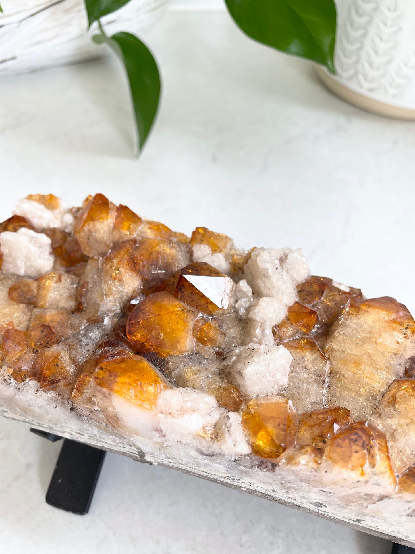 Citrine Cluster Table Topper ~ 1.6kgs
