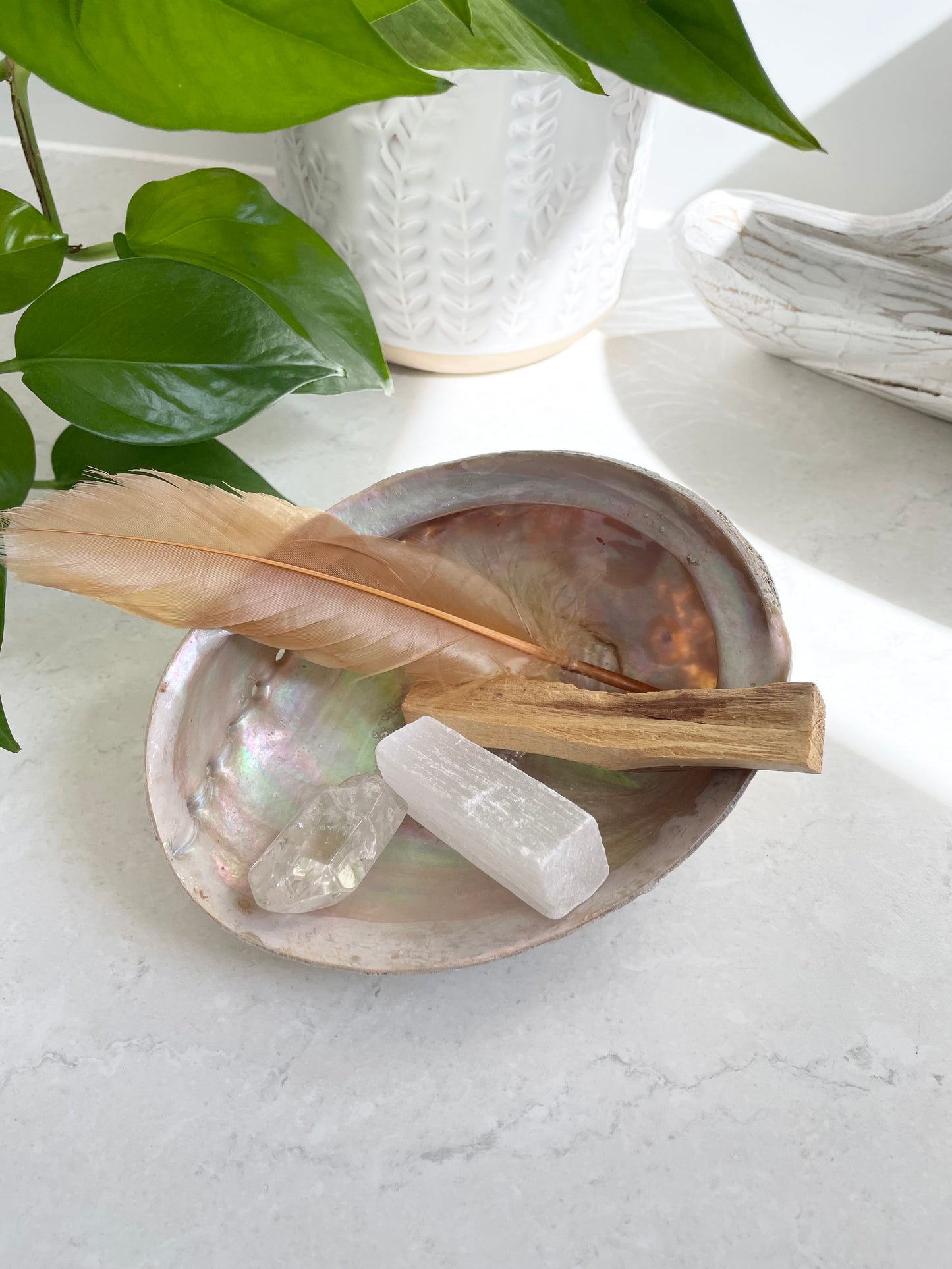 Abalone Shell /Smoke Medicine ~ Set of 5