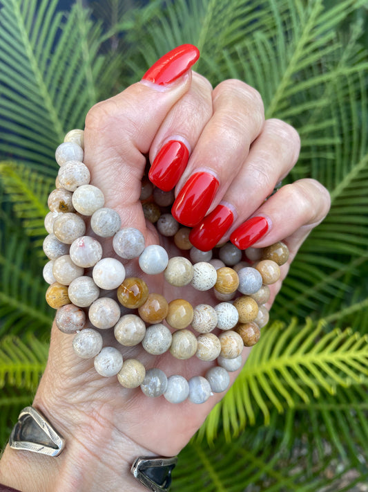 Petosky Stone/Fossil Coral Healing Bracelet