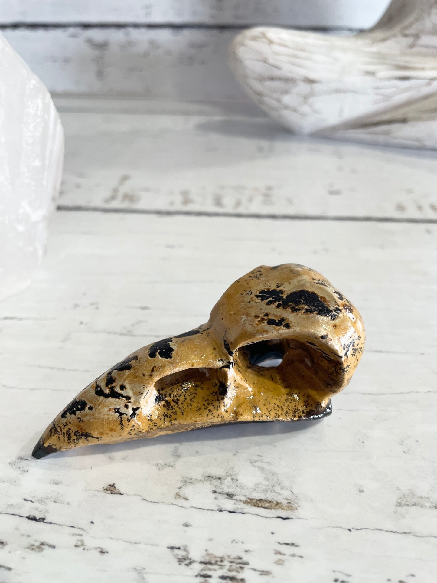 Picture Jasper Raven Skull ~ 12