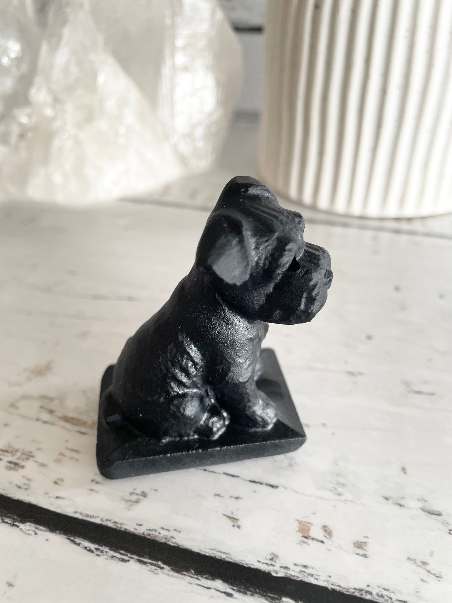 Black Obsidian Dog ~ Schnauzer (old man cutie)