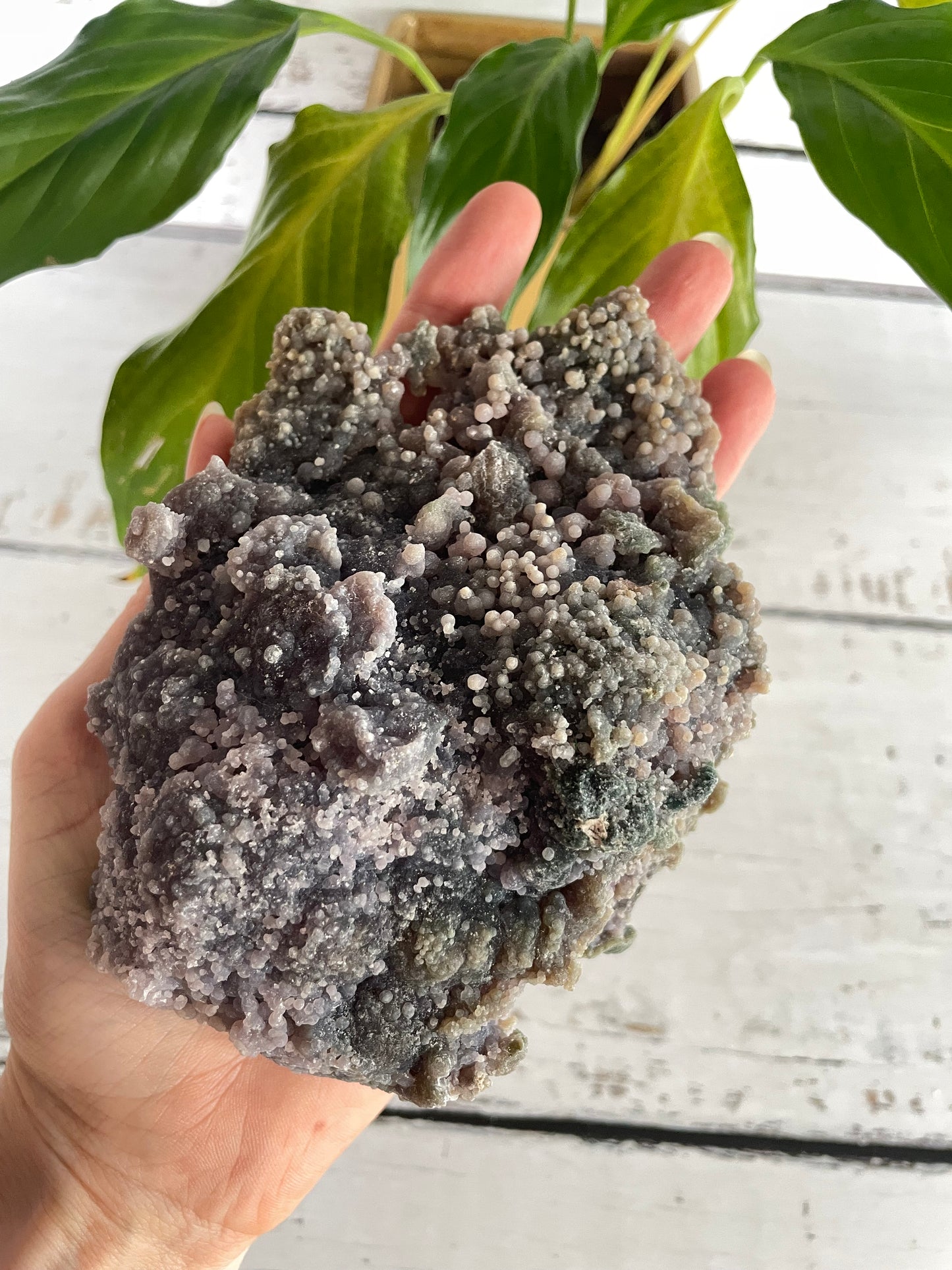 Grape Agate /Botryoidal Purple Chalcedony