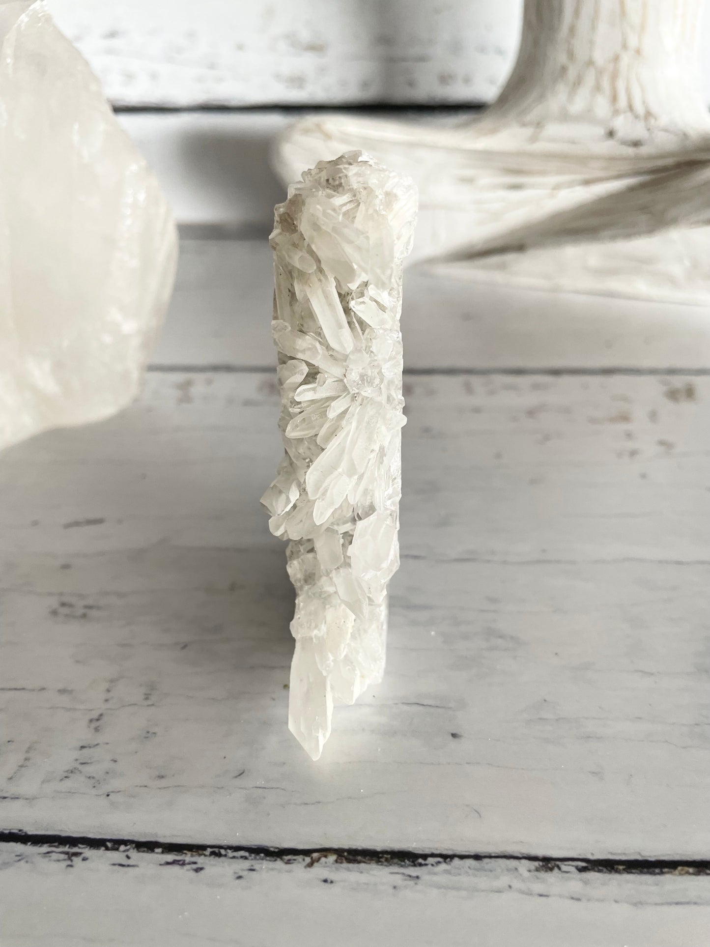 Quartz Sea Horse ~ 5