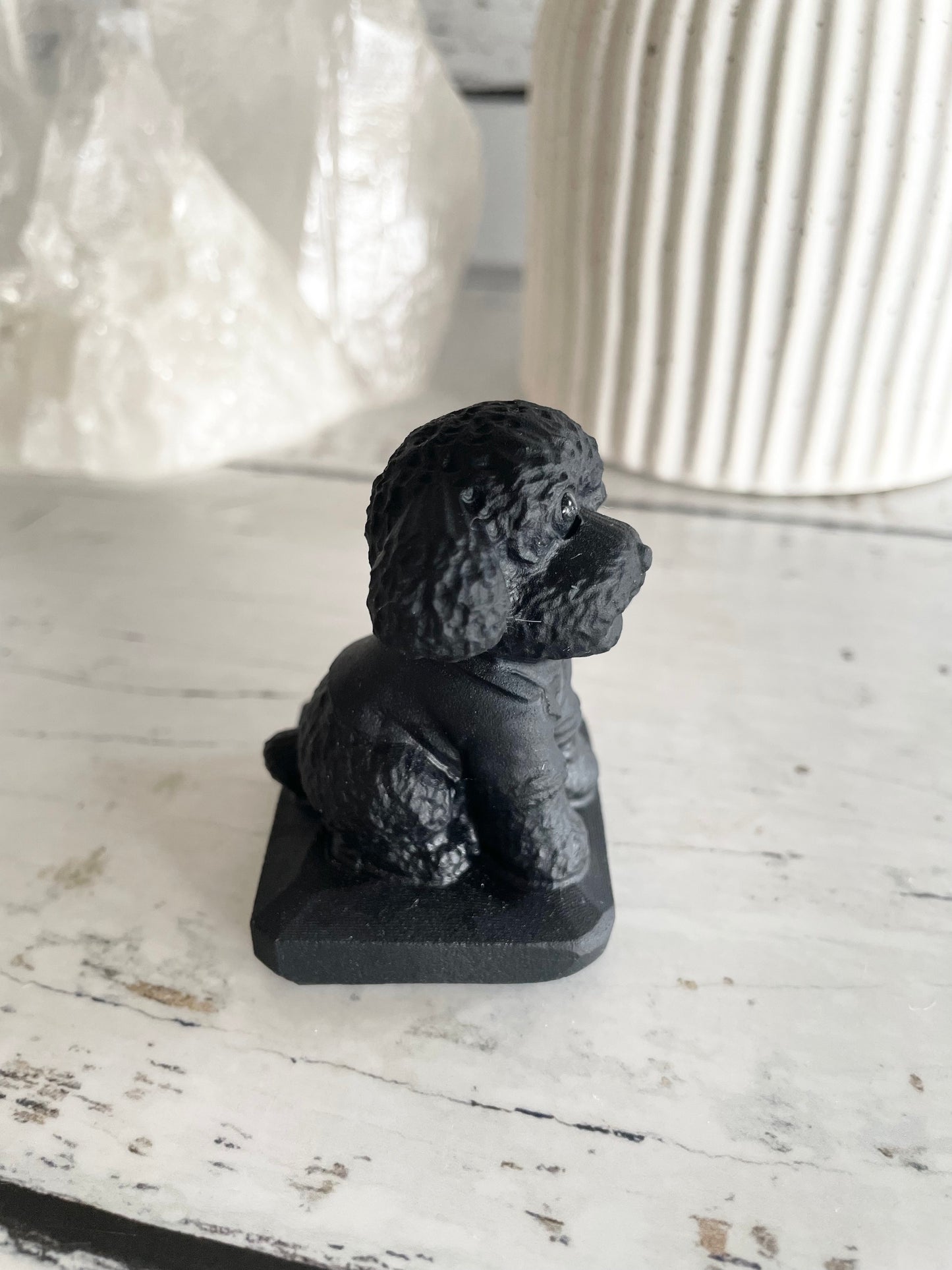 Black Obsidian Dog ~ Poodle (social butterfly)