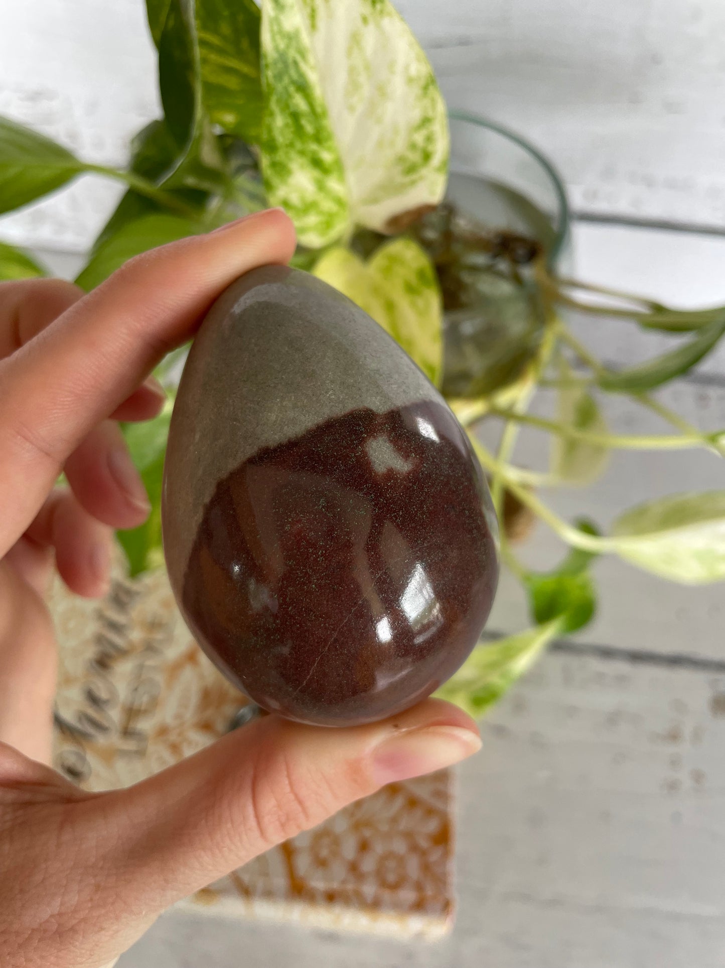 Shiva Narmada Egg with holder