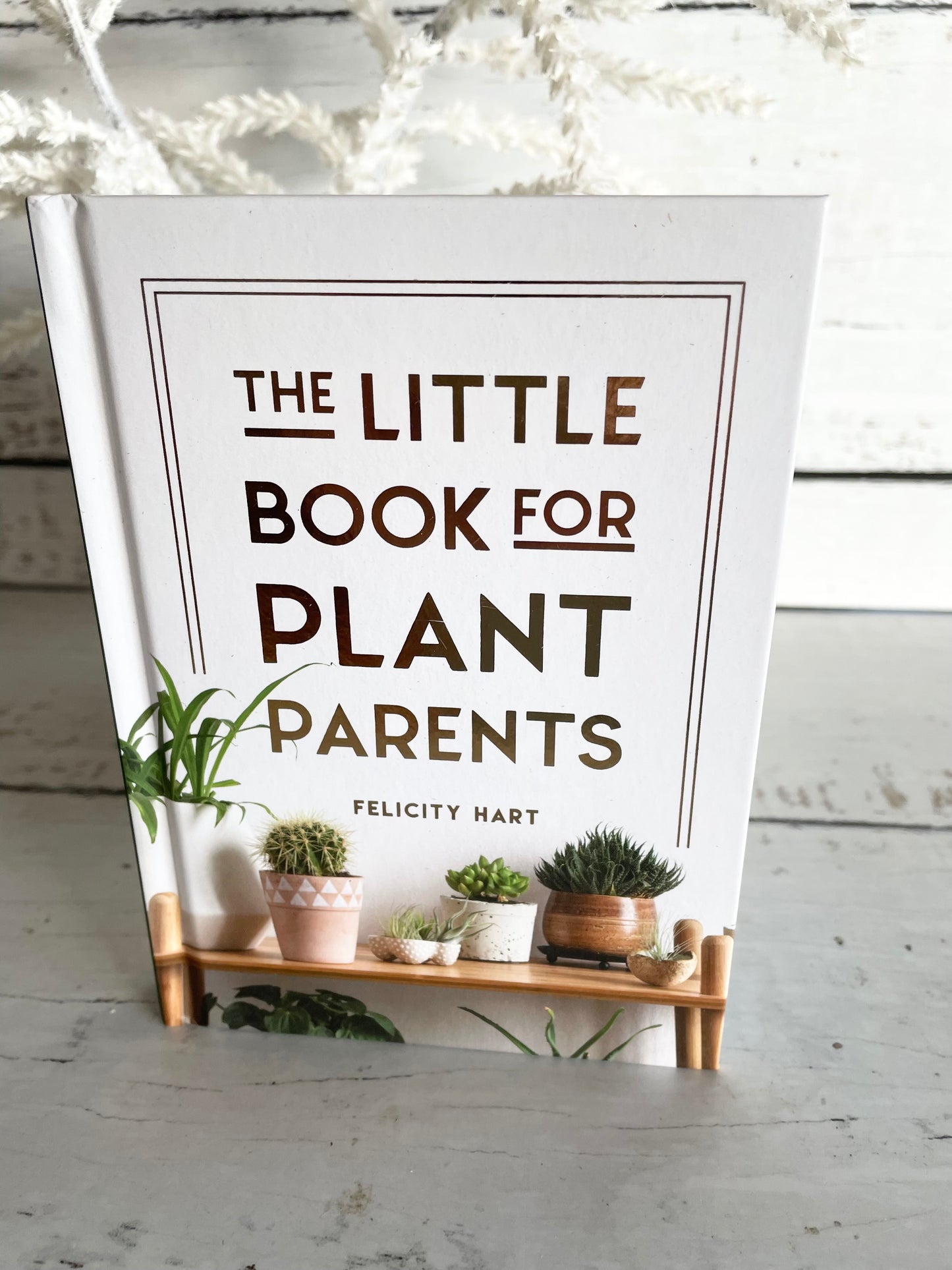 The Little Book for Plant Parents