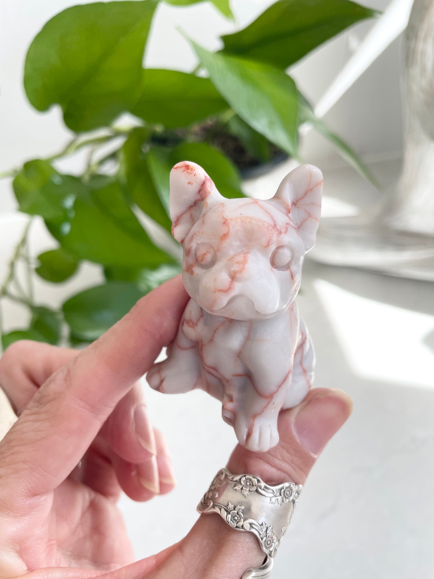 French Bulldog ~ Vein Jasper