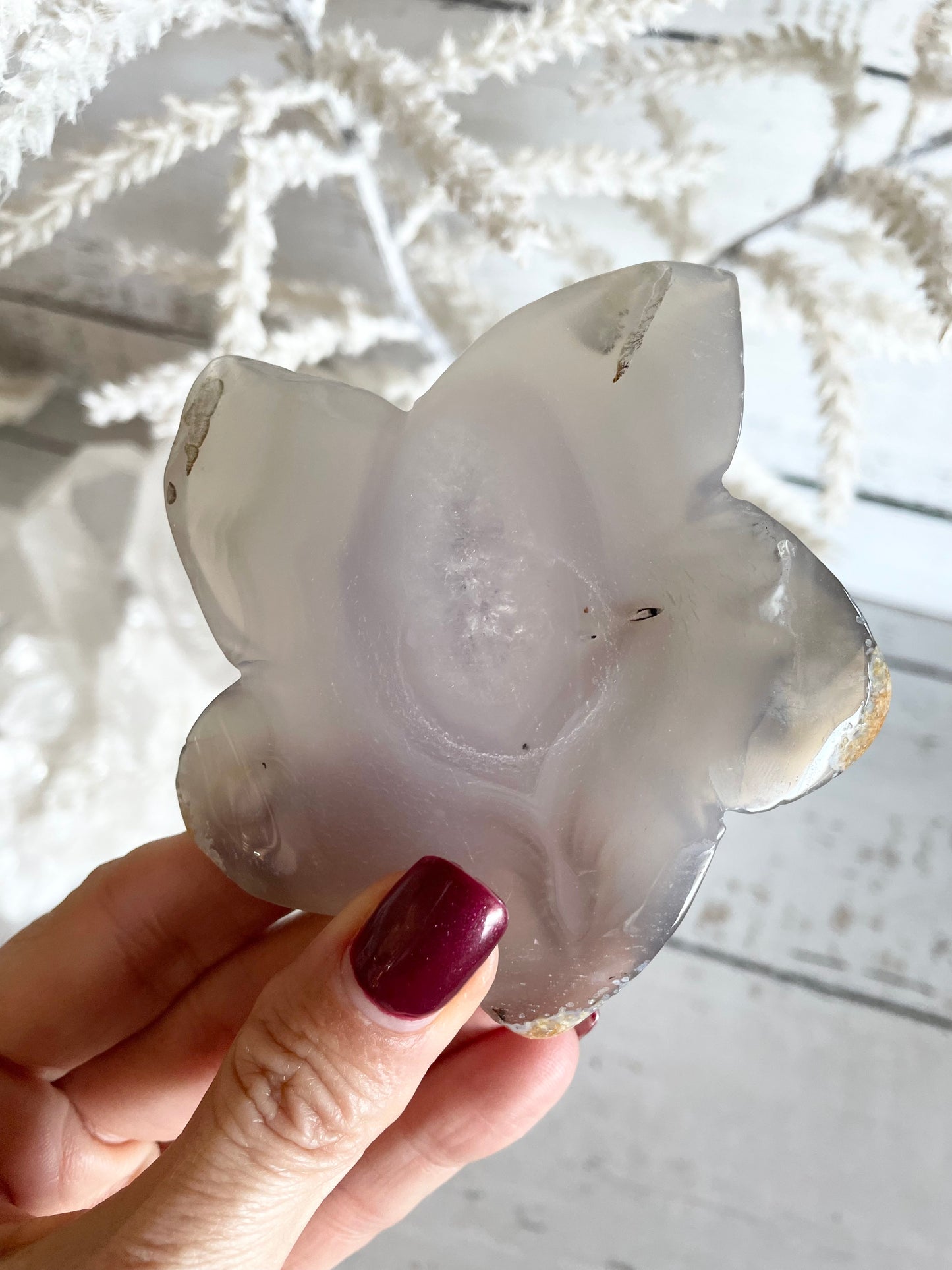 Natural Agate ~ Sea Star