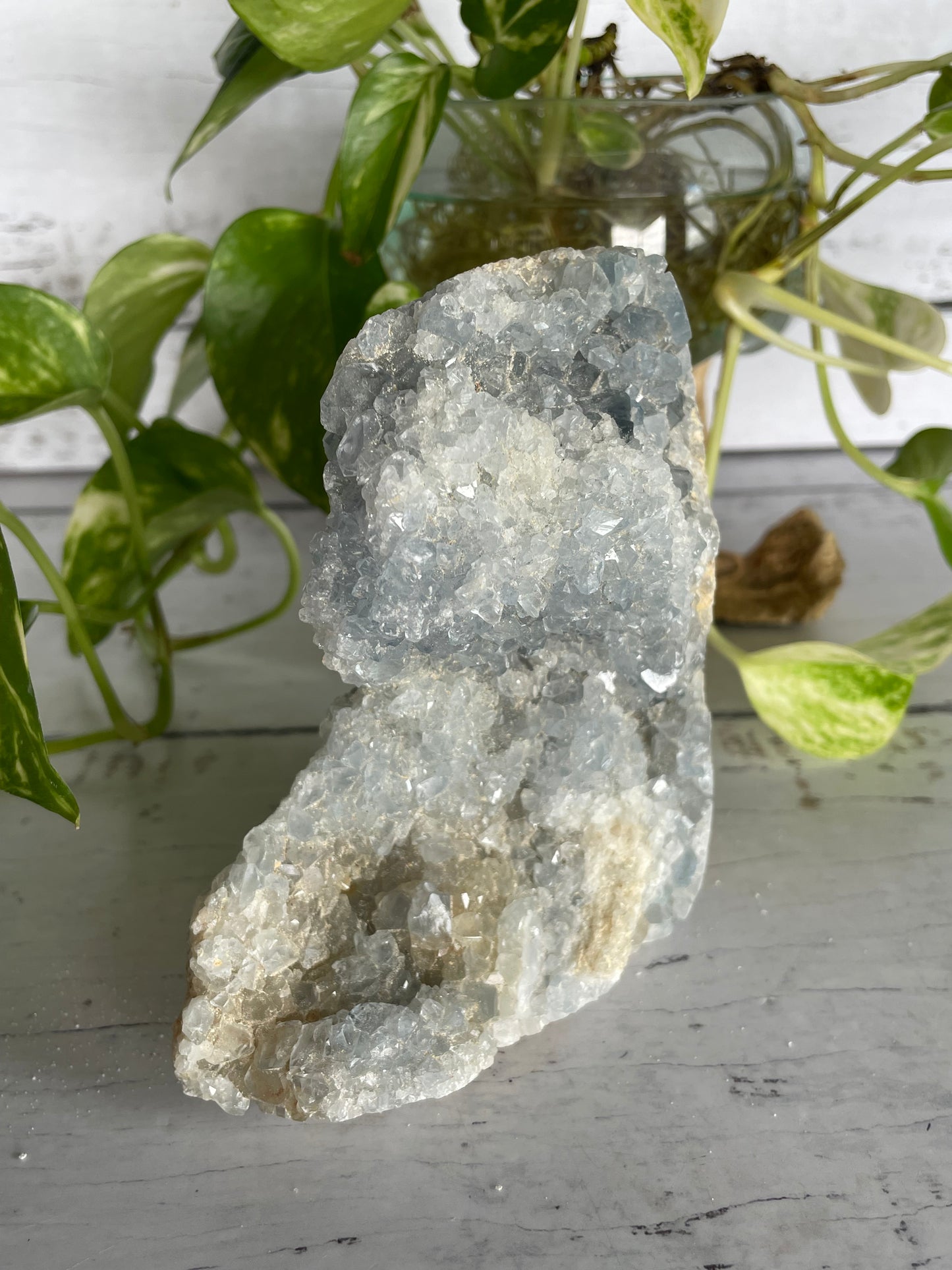 Celestite Cluster