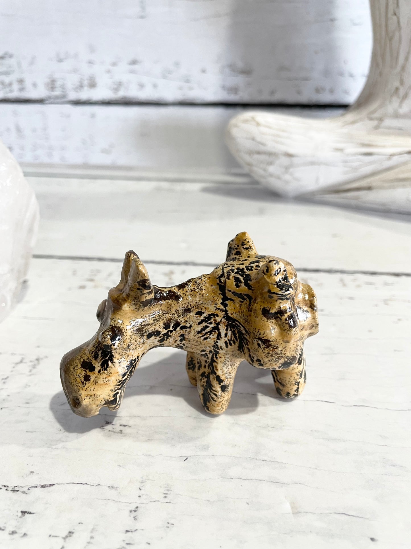 Picture Jasper Donkey ~ 10