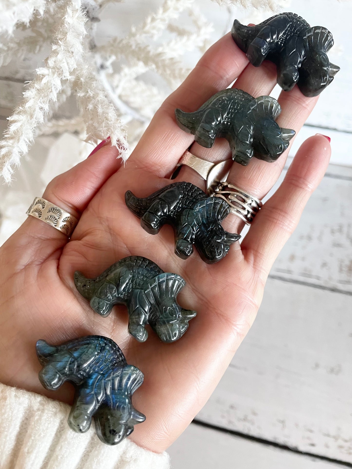 Intuitively Chosen ~ Labradorite Triceratops