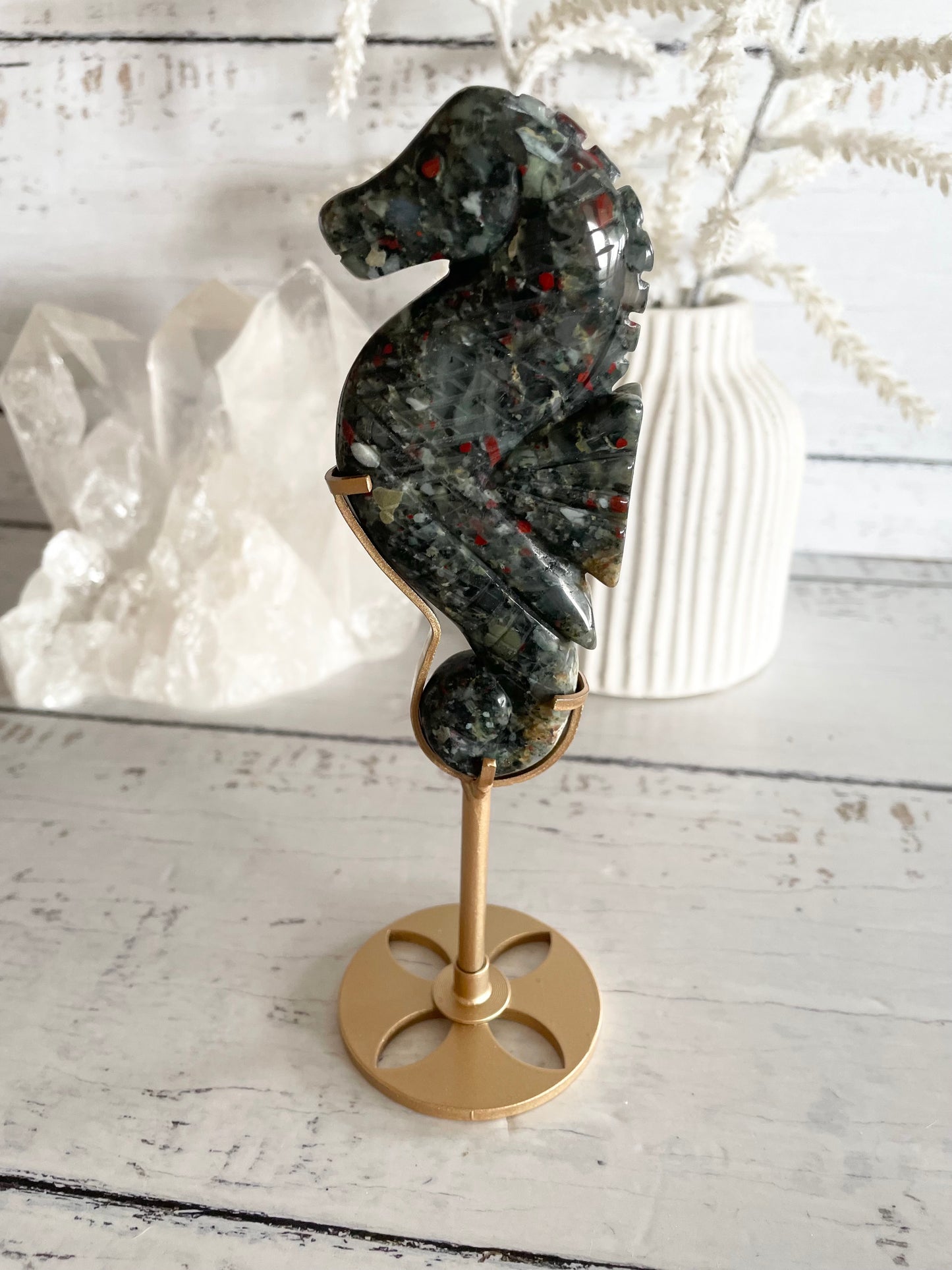 Seahorse ~ African Bloodstone