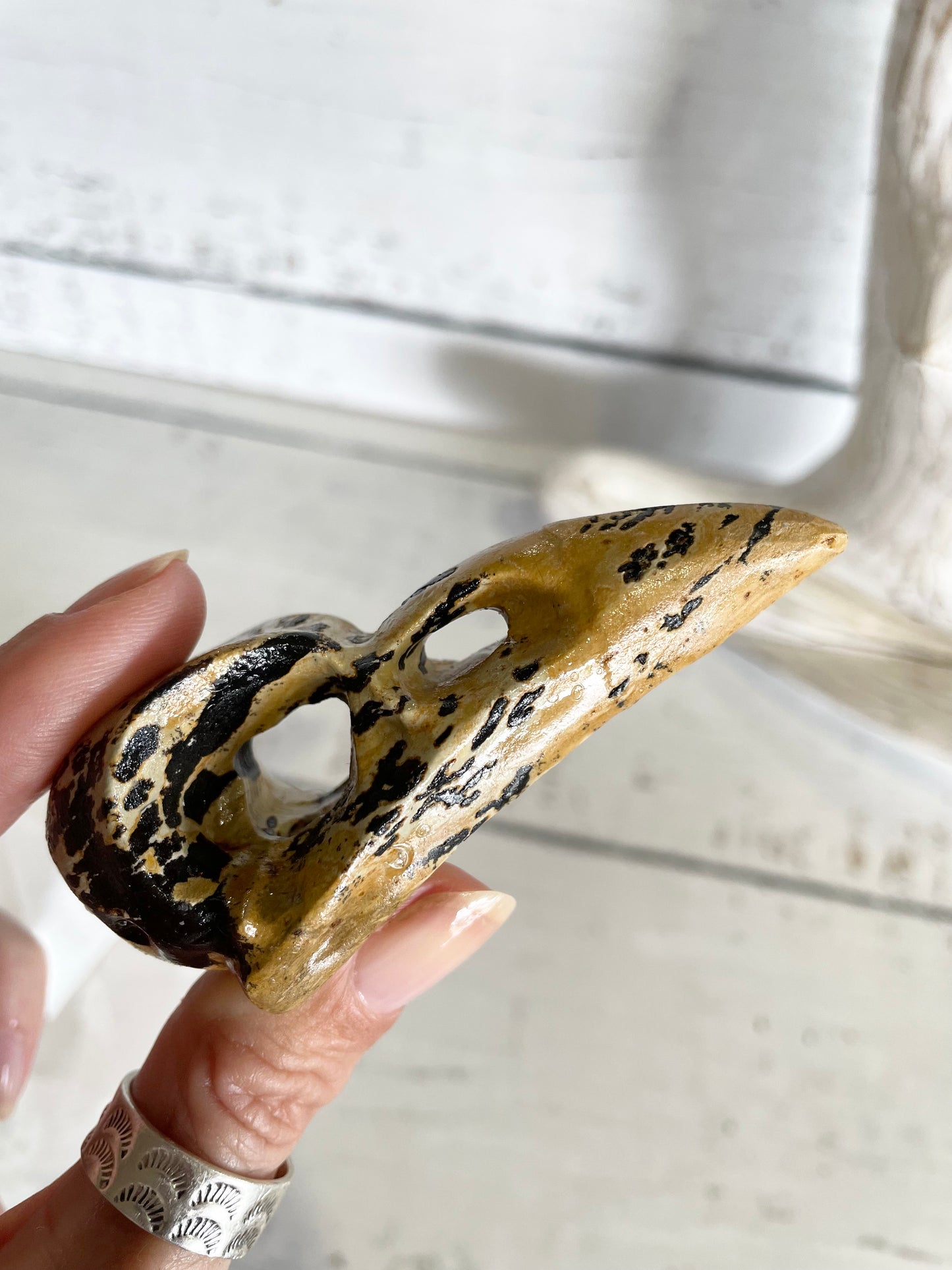 Picture Jasper Raven Skull ~ 3