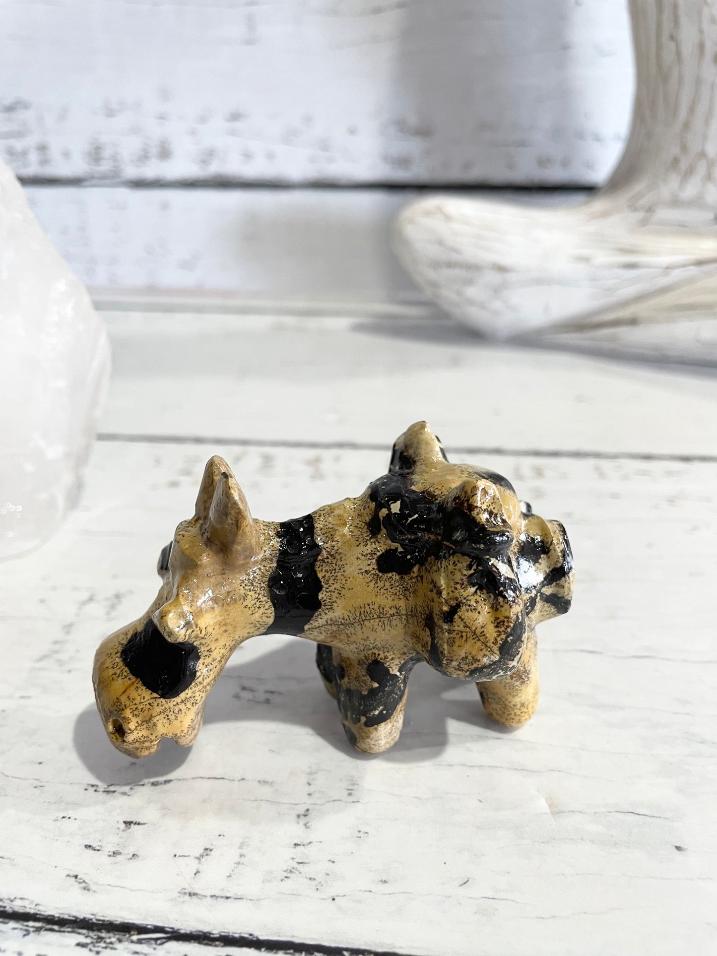 Picture Jasper Donkey ~ 7