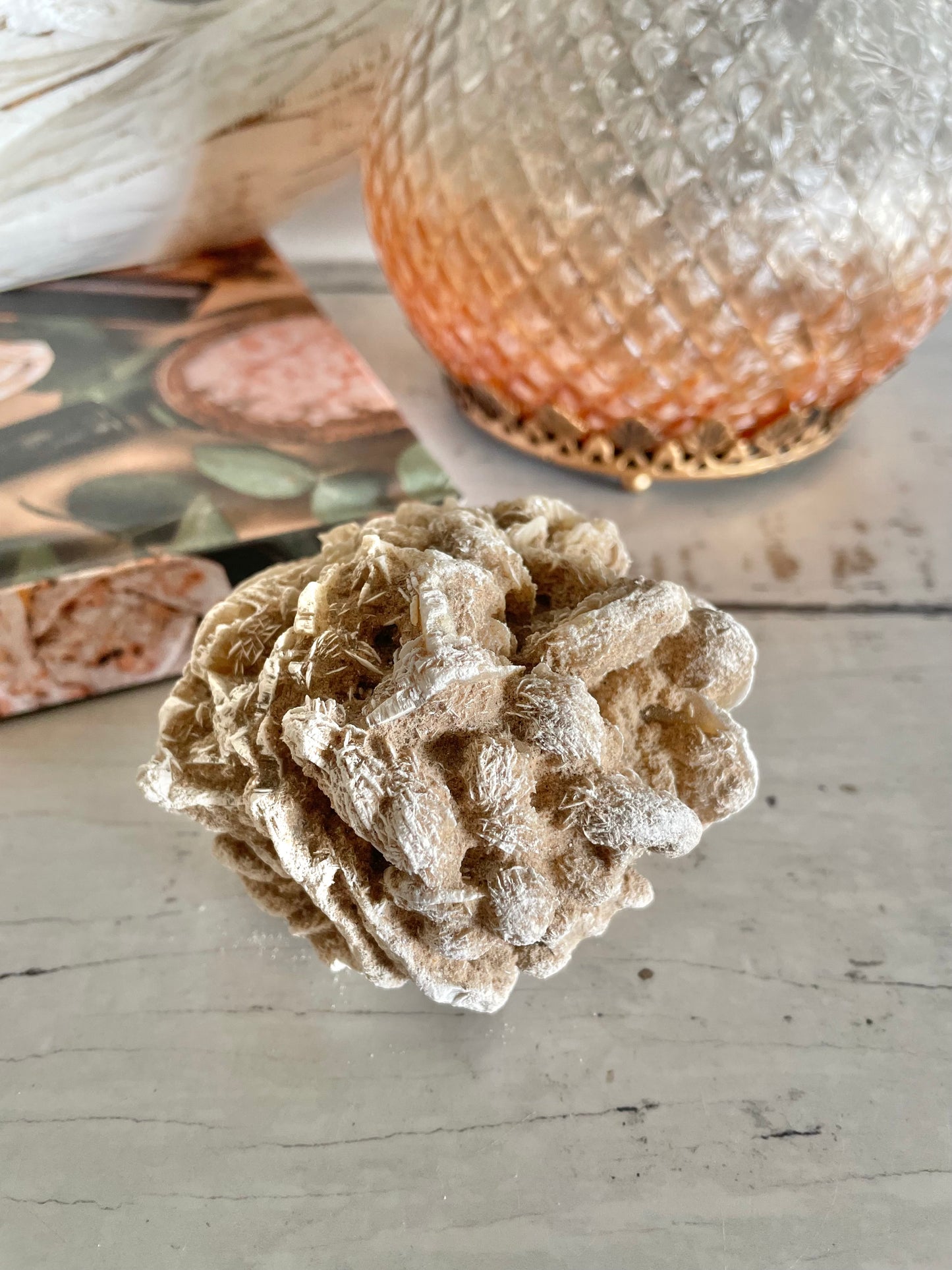 Desert Rose