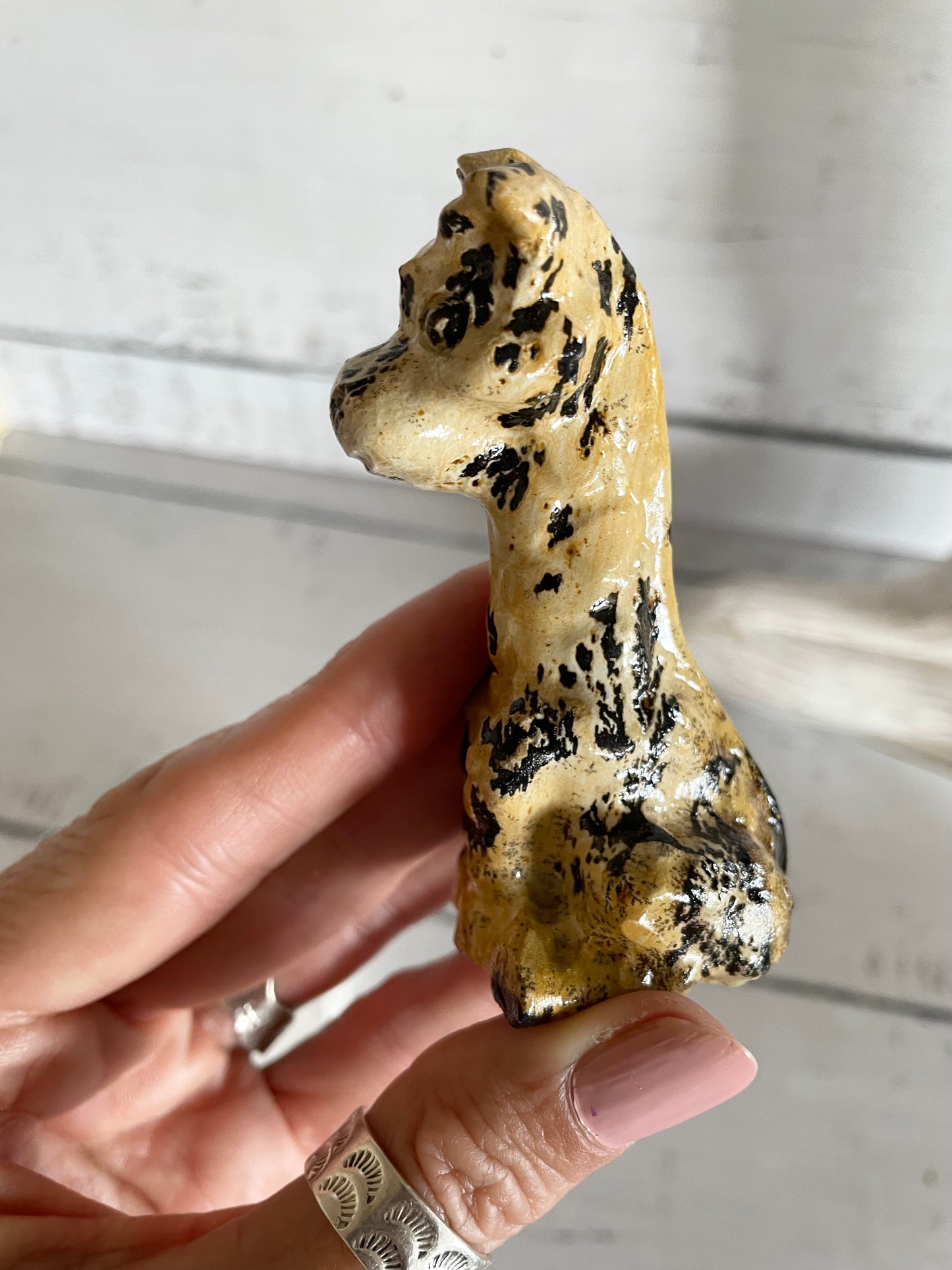 Picture Jasper Giraffe ~ 6