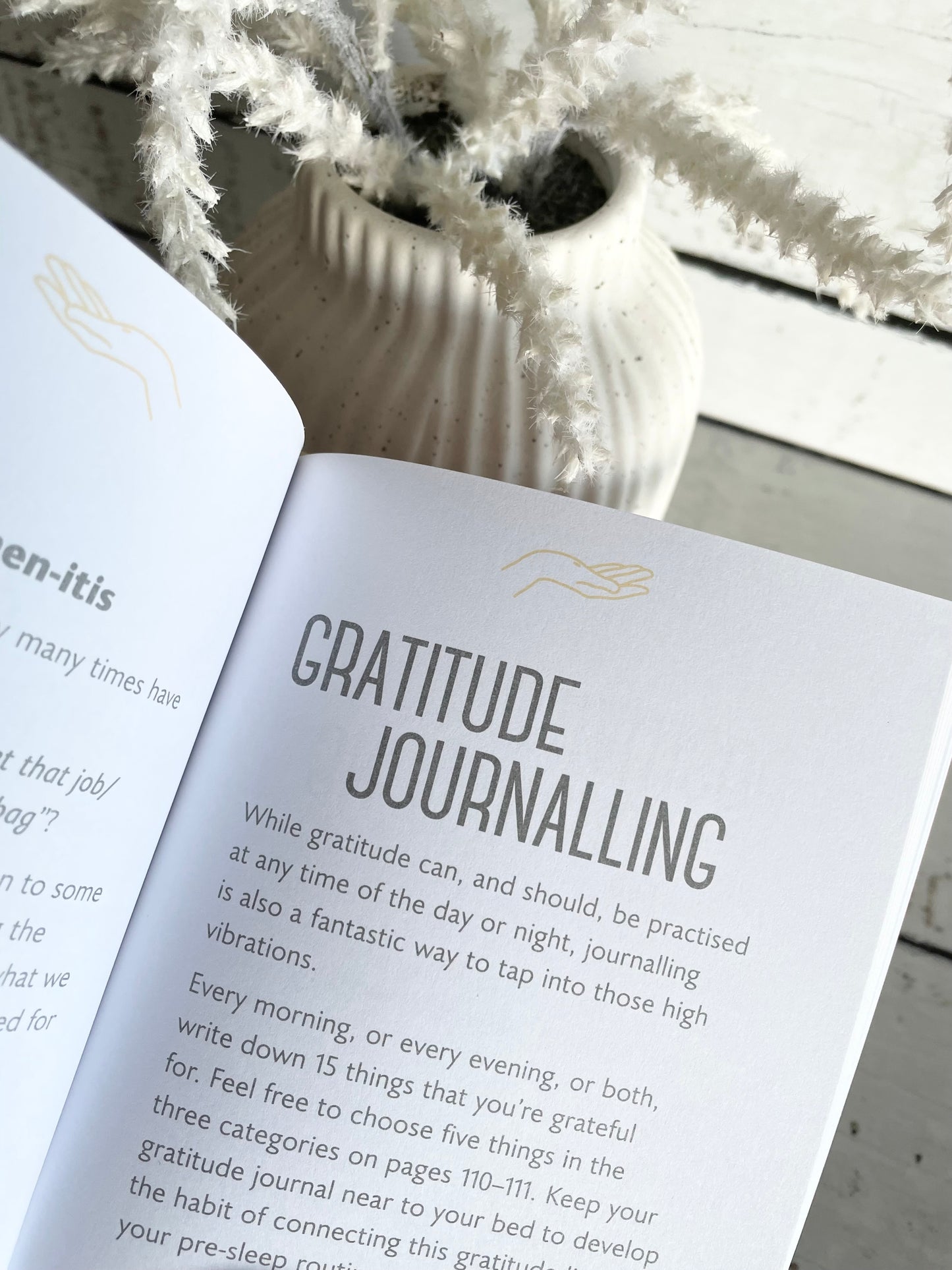 The Little Book of Manifesting