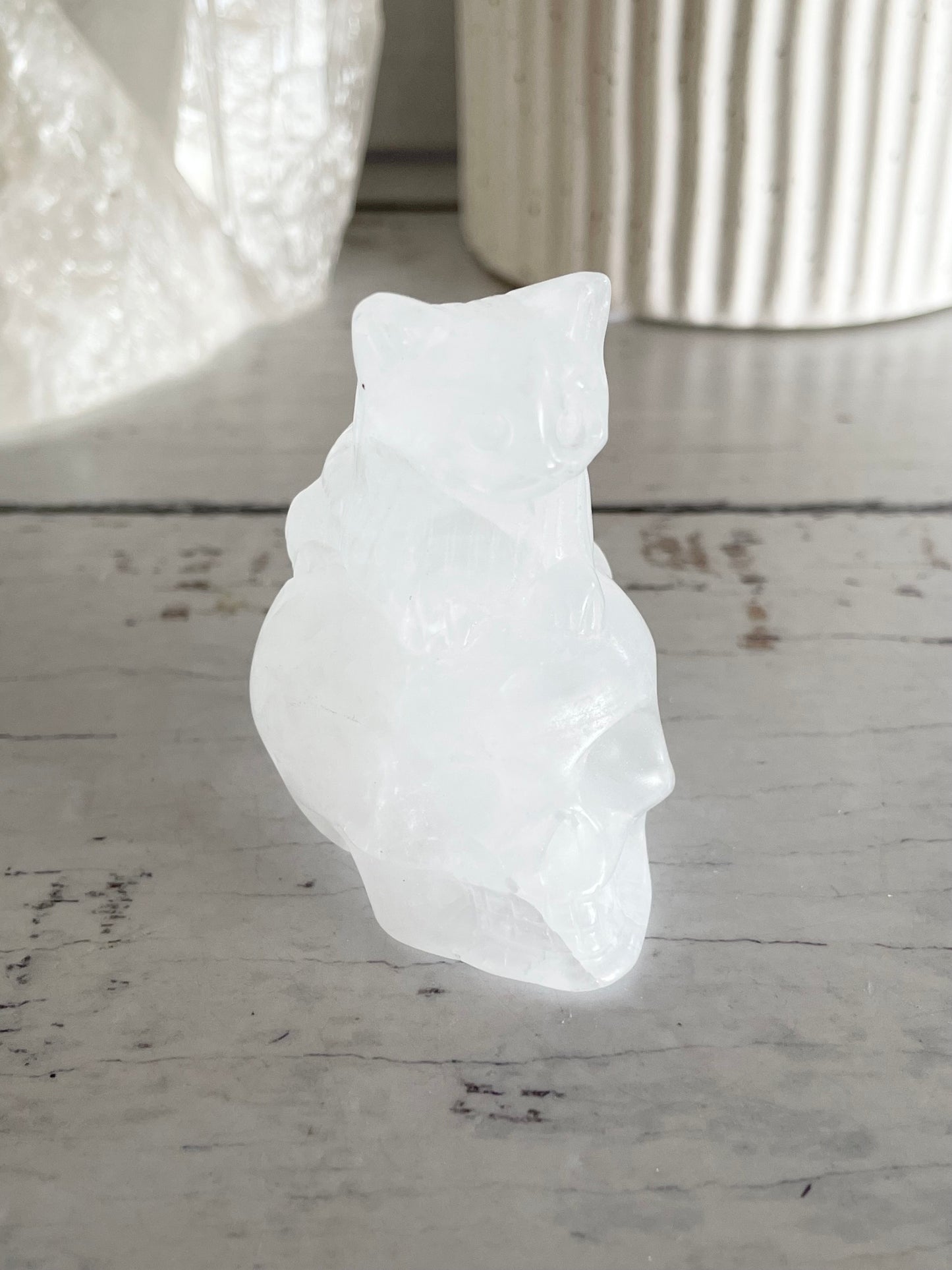 Clear Quartz Cat on Skull