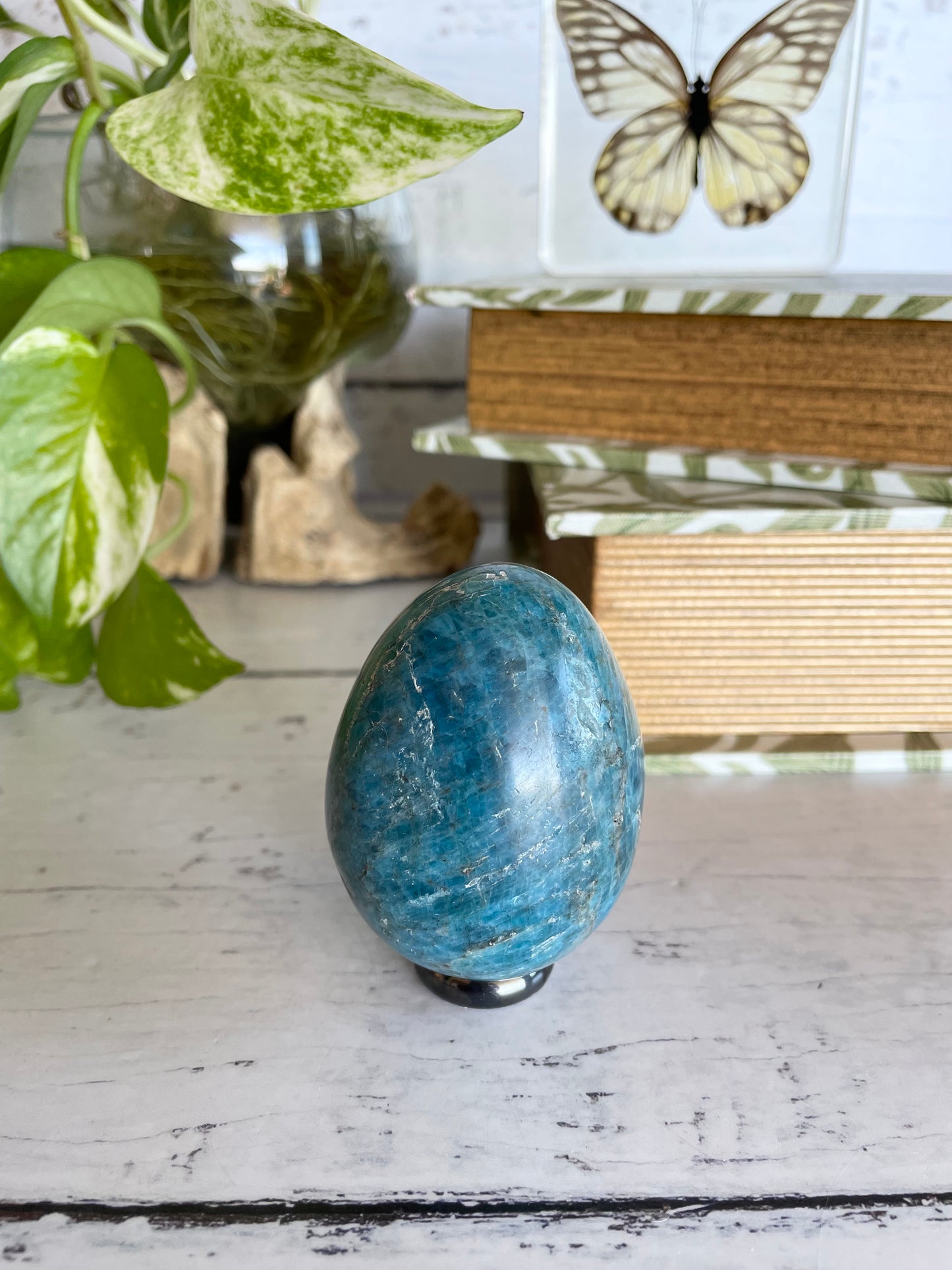 Apatite Egg with holder