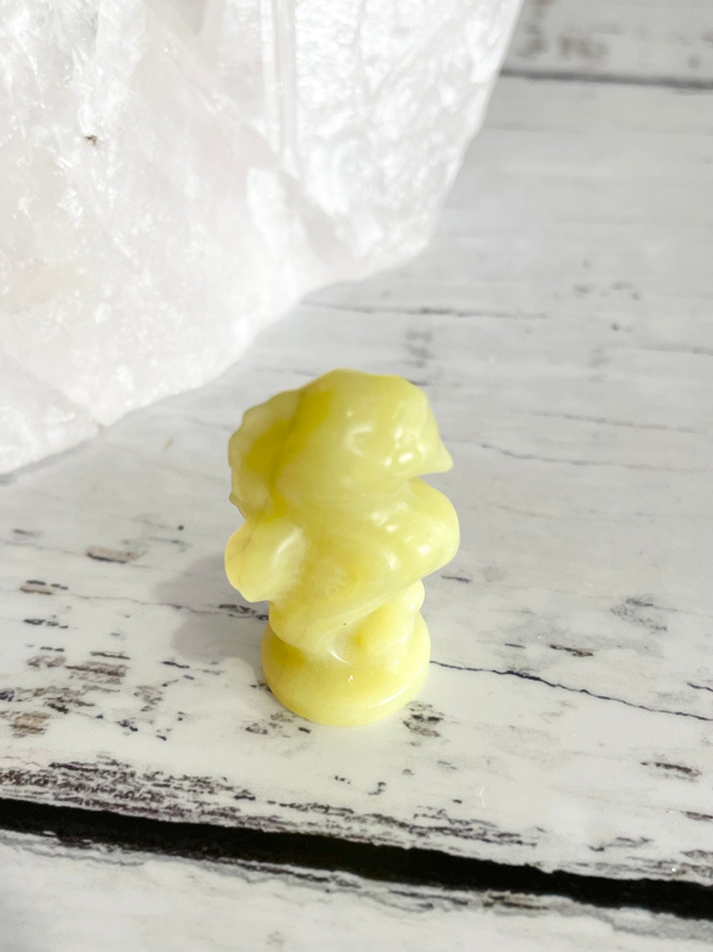 Sea Horse ~ New Jade