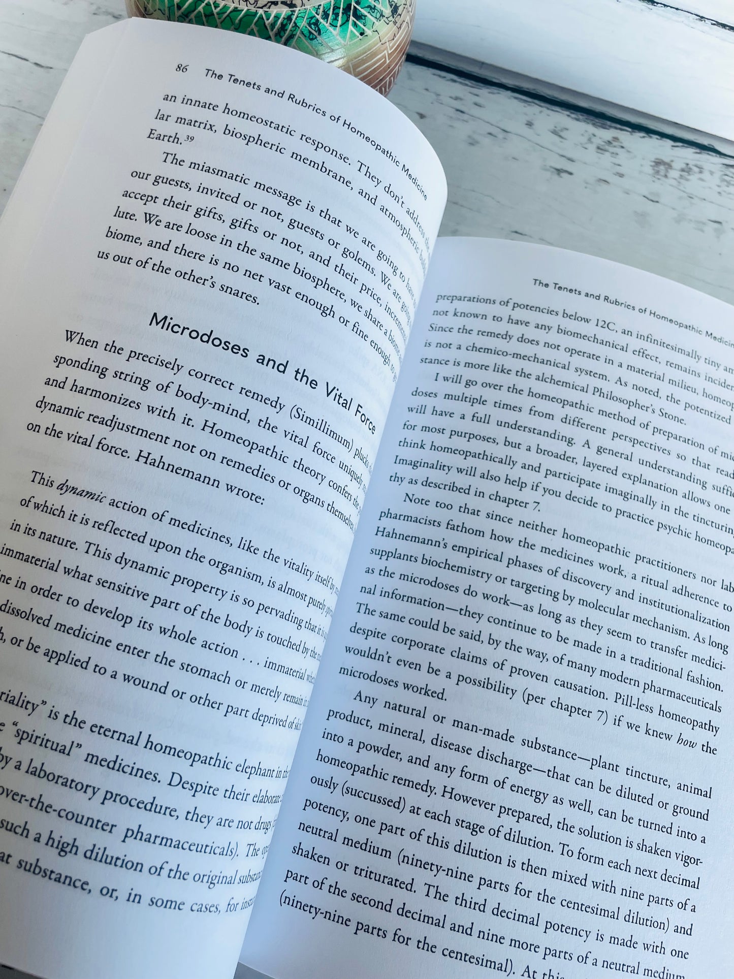 Homeopathy as Energy Medicine