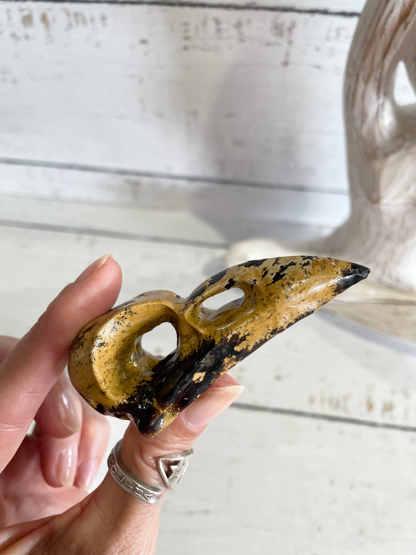 Picture Jasper Raven Skull ~ 12