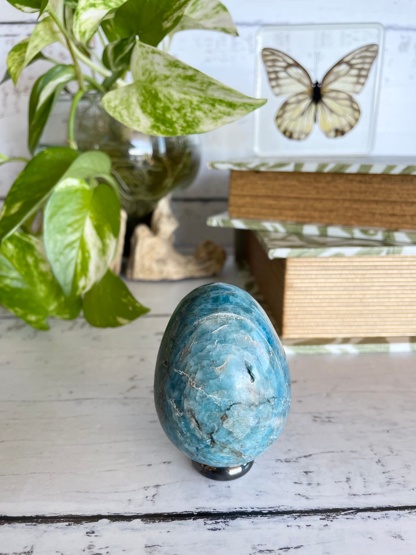 Apatite Egg with holder