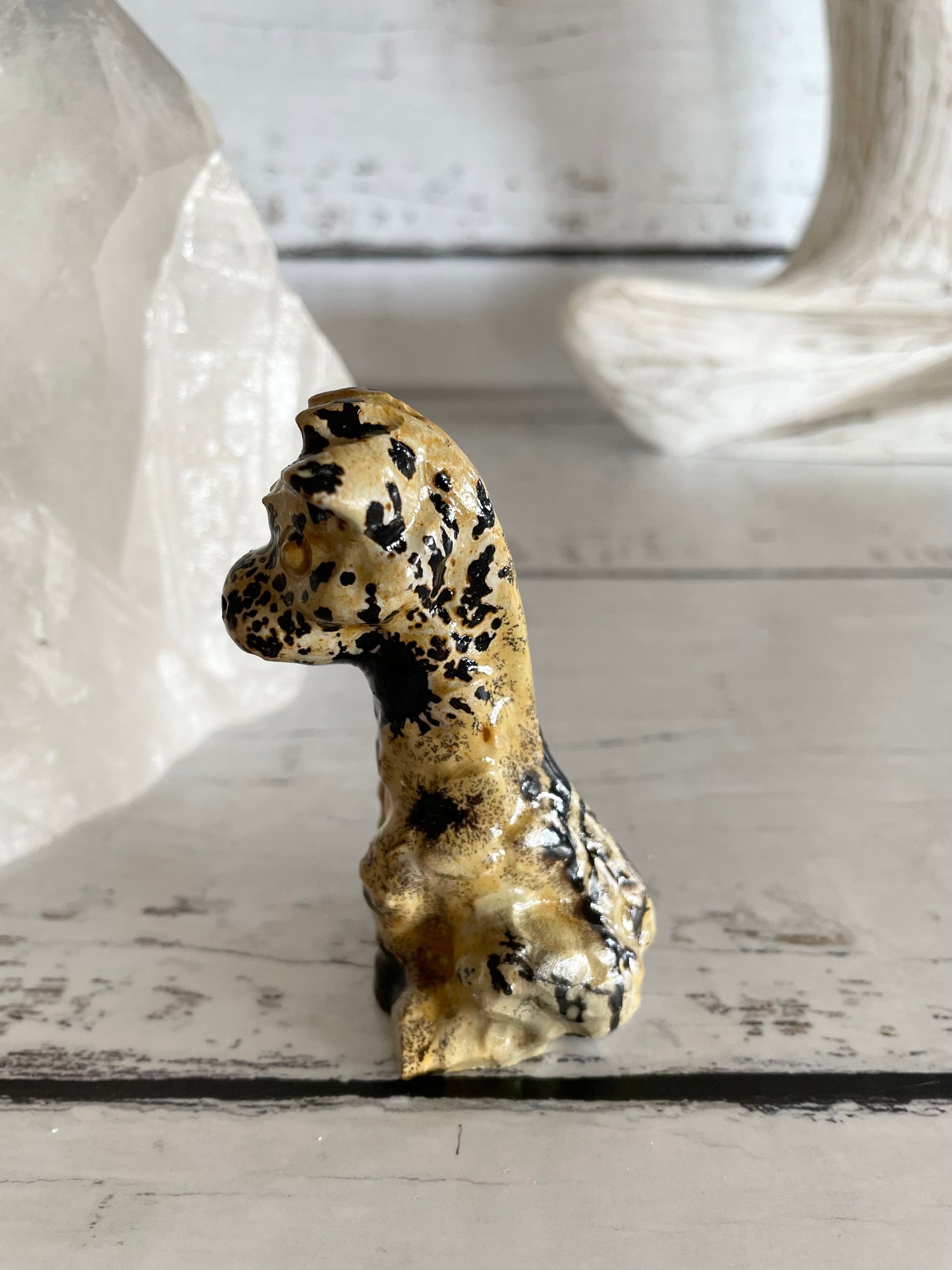 Picture Jasper Giraffe ~ 13