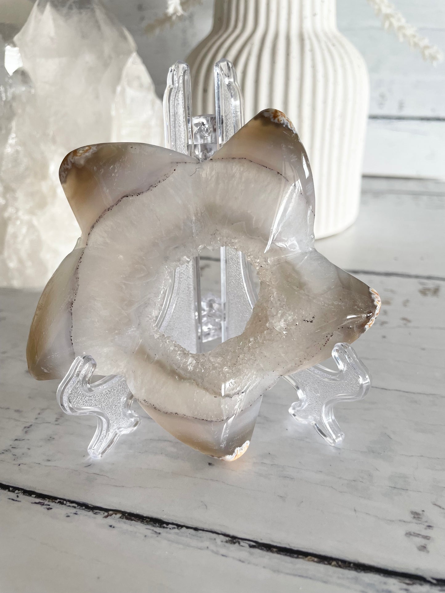Natural Agate ~ Sea Star