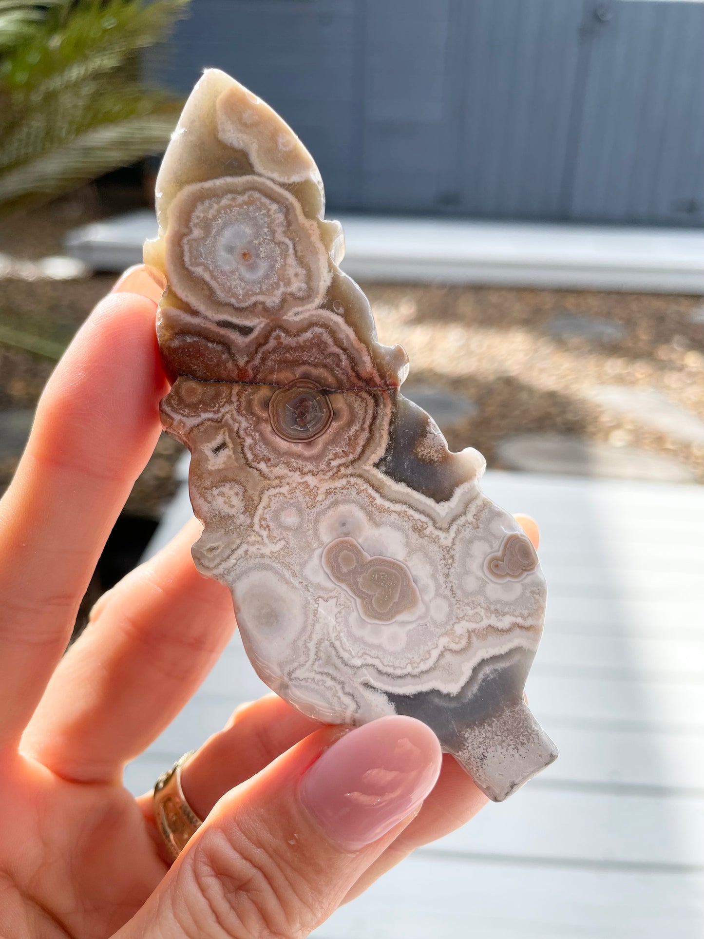 Mexican Agate Feather
