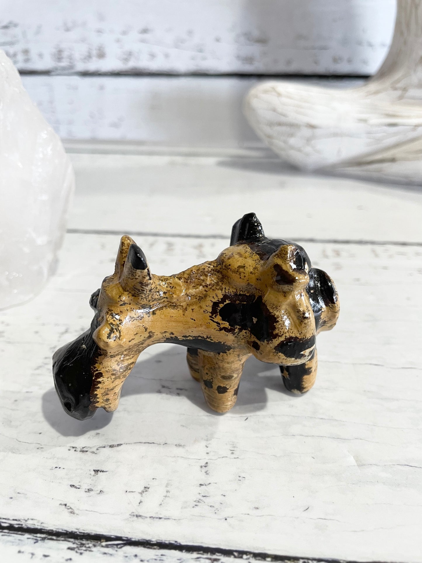 Picture Jasper Donkey ~ 8