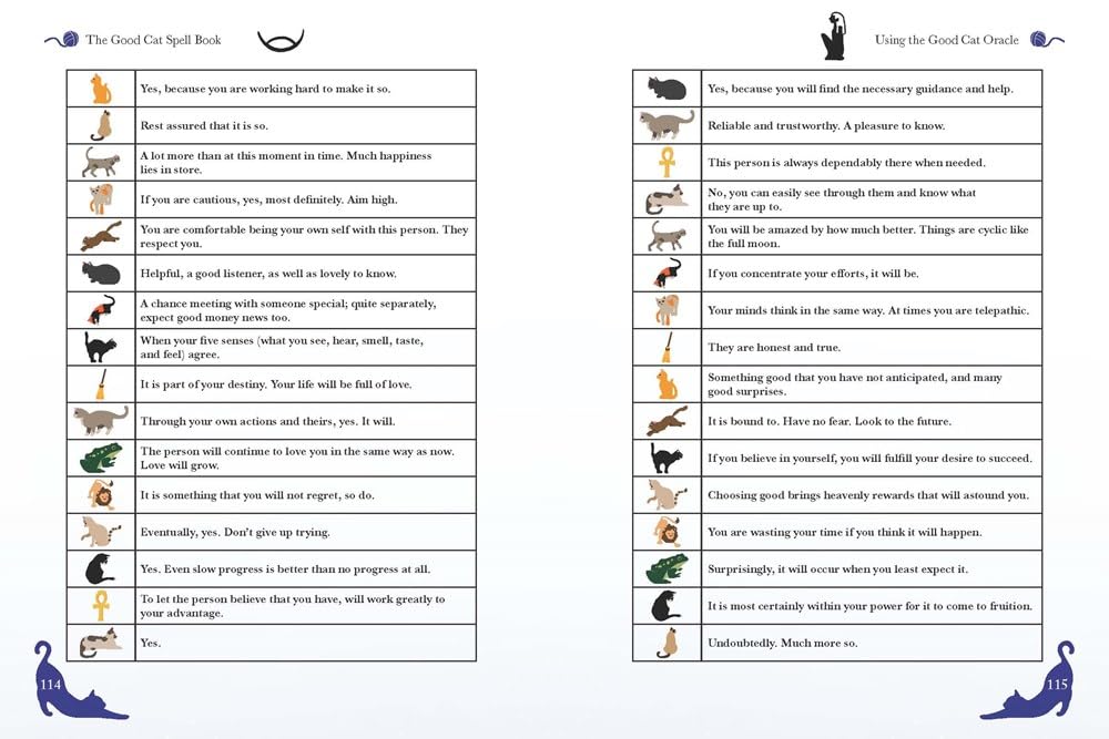 The Good Cat Spell Book
