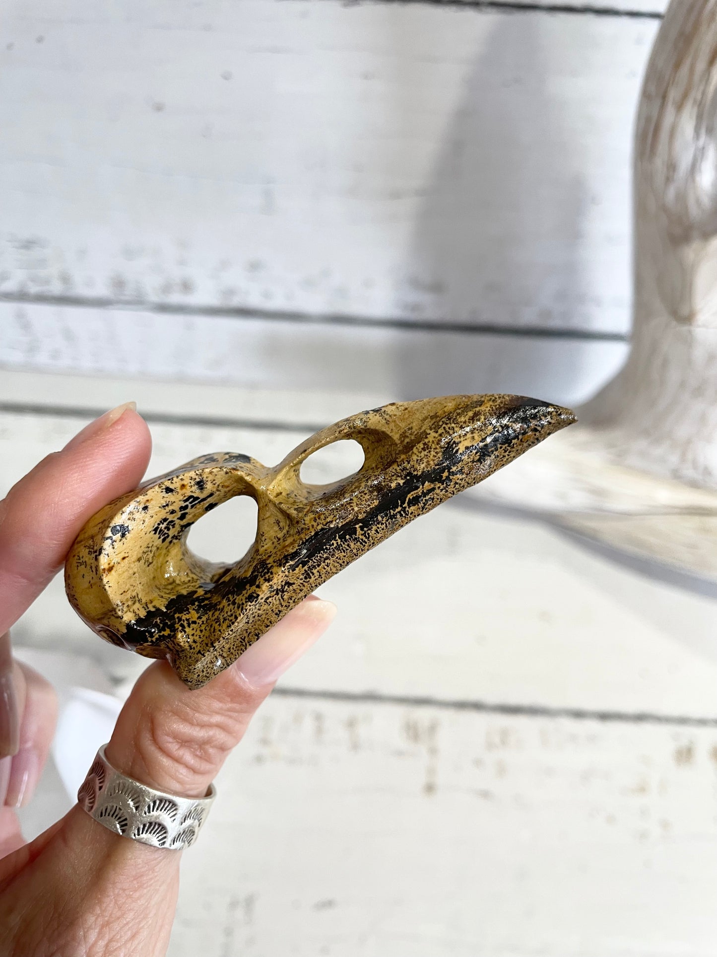 Picture Jasper Raven Skull ~ 8