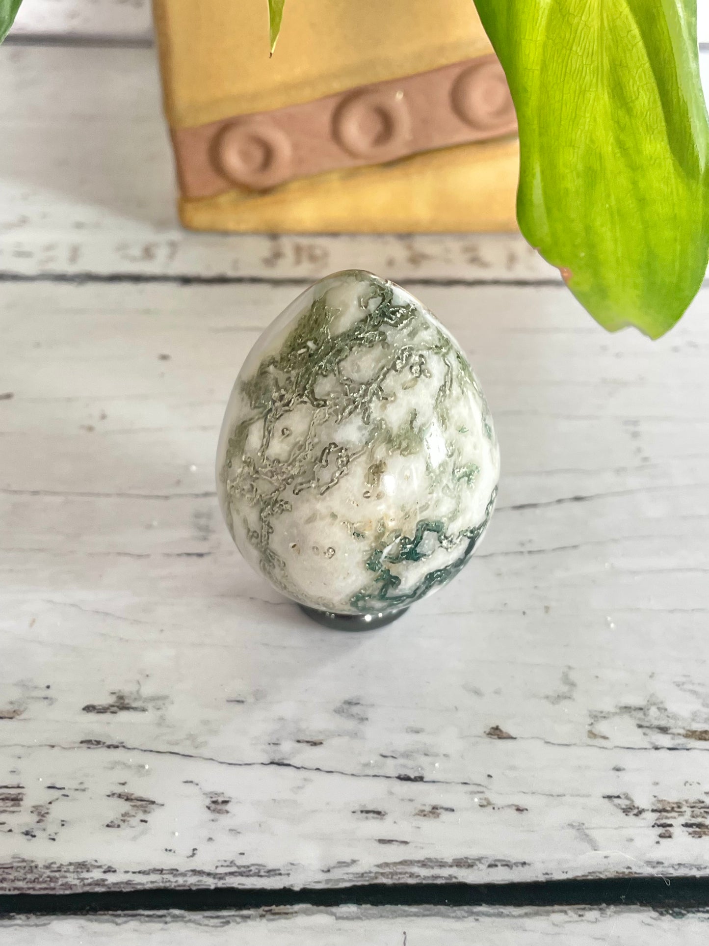 Tree Agate Egg with holder