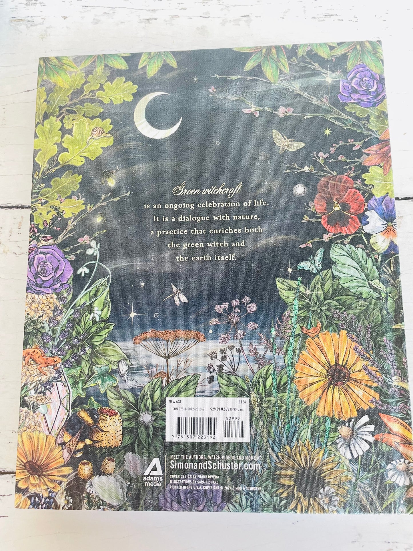 The Green Witch Illustrated