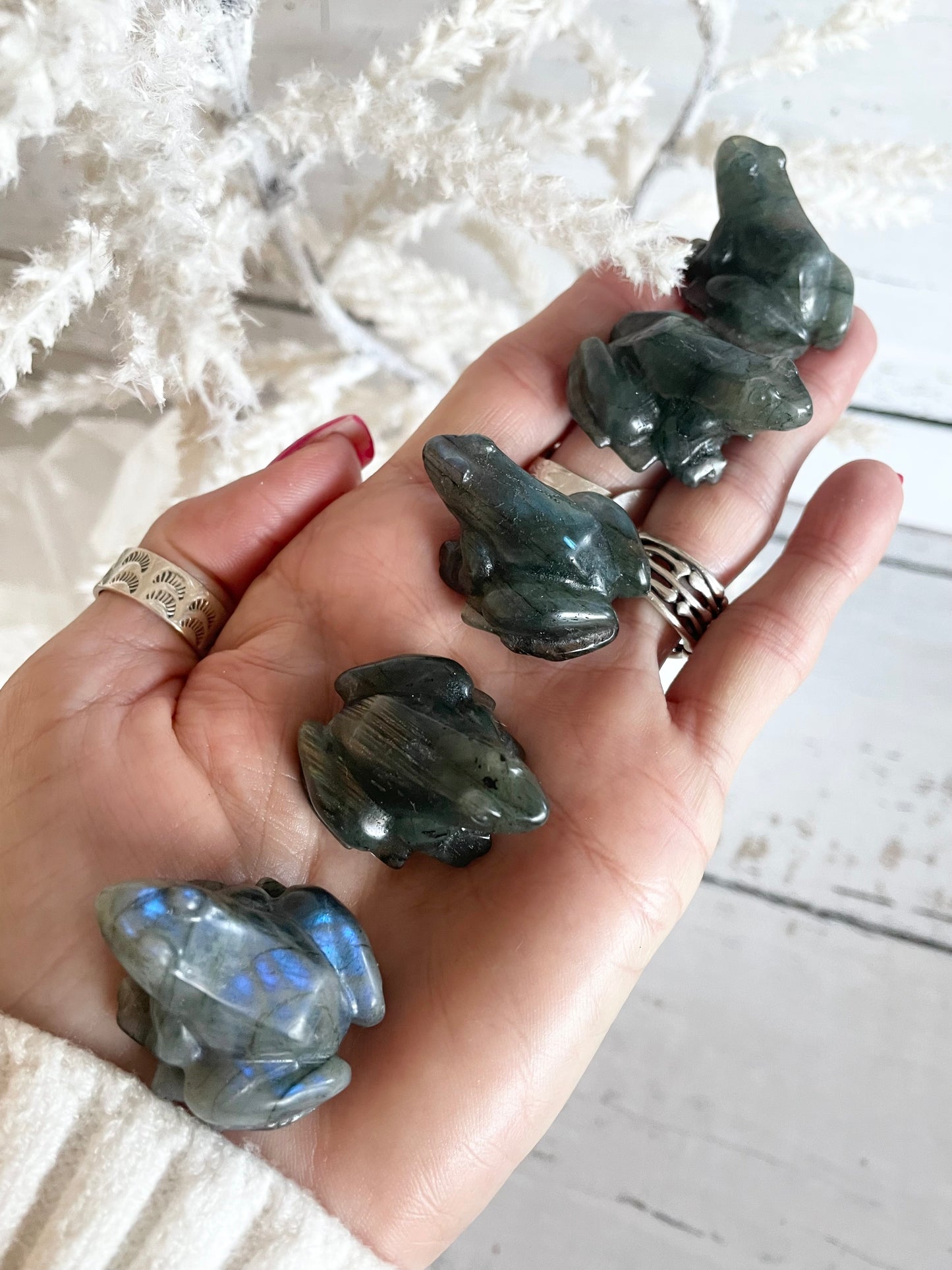 Intuitively Chosen ~ Labradorite Frog