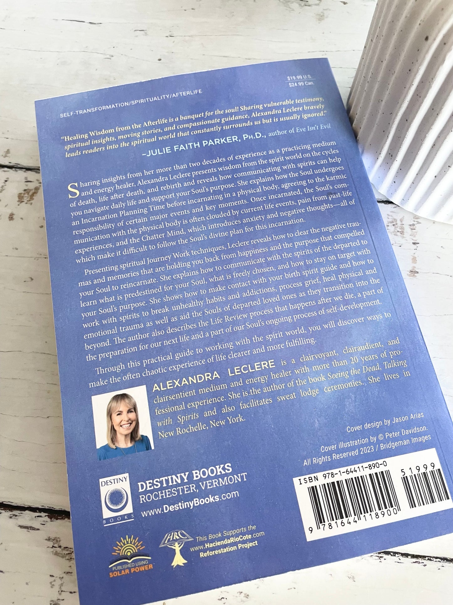 Healing Wisdom from the Afterlife