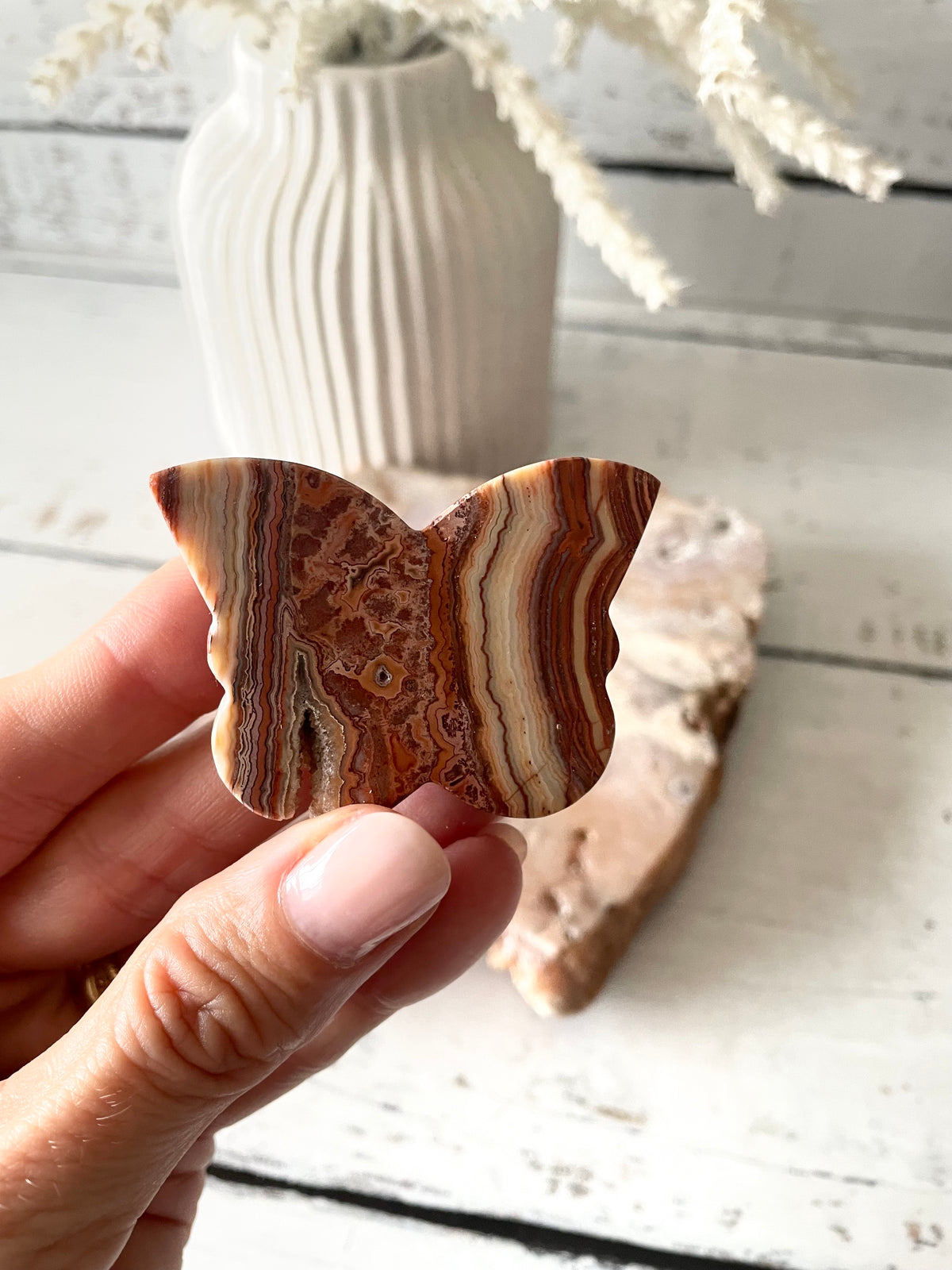 Mexican Pink Crazy Lace Agate Butterfly